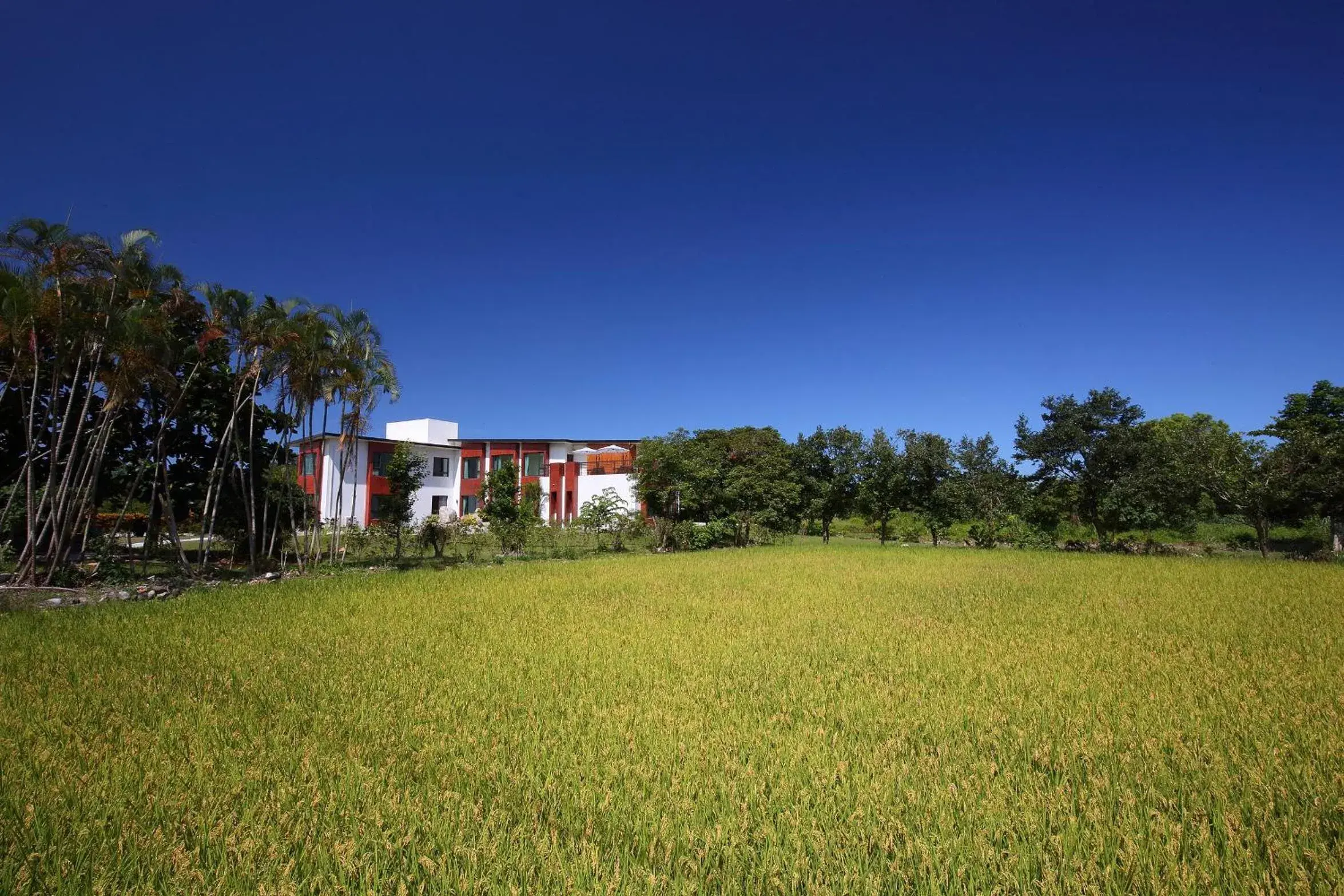 View (from property/room) in 雲起軒民宿 Cloudscape B&B View (from property/room) in 雲起軒民宿 Cloudscape B&B