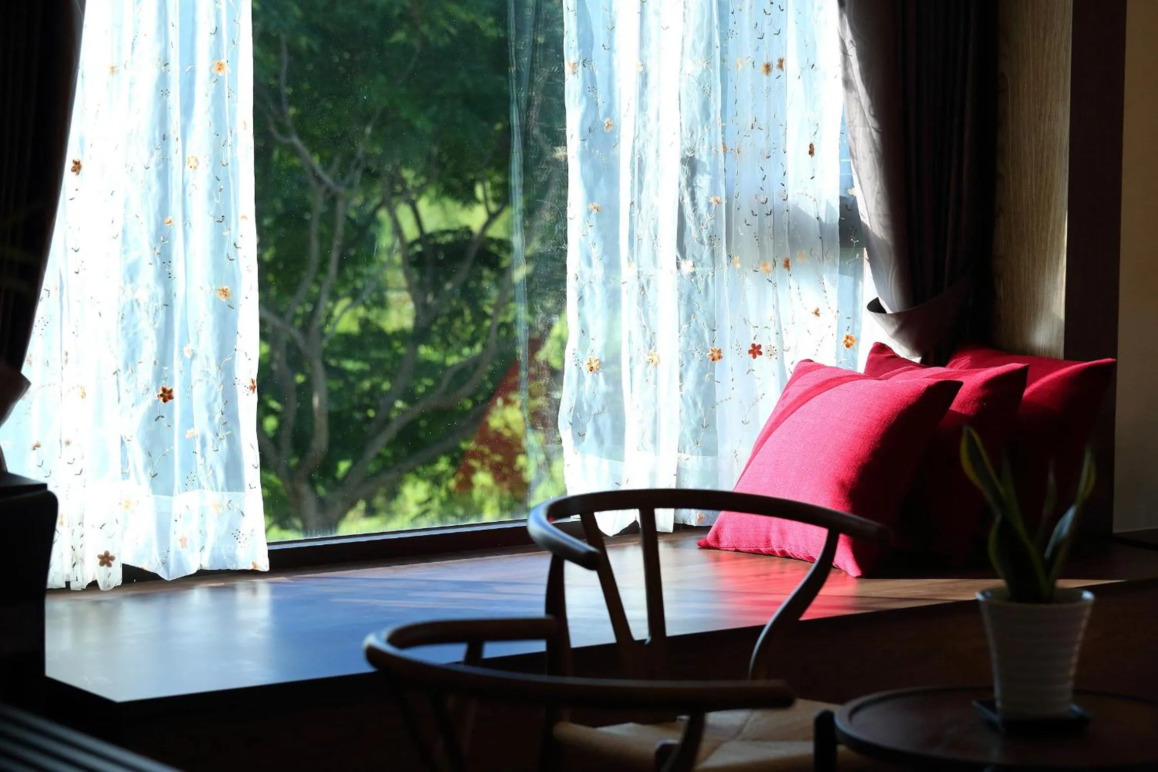 Day in 雲起軒民宿 Cloudscape B&B