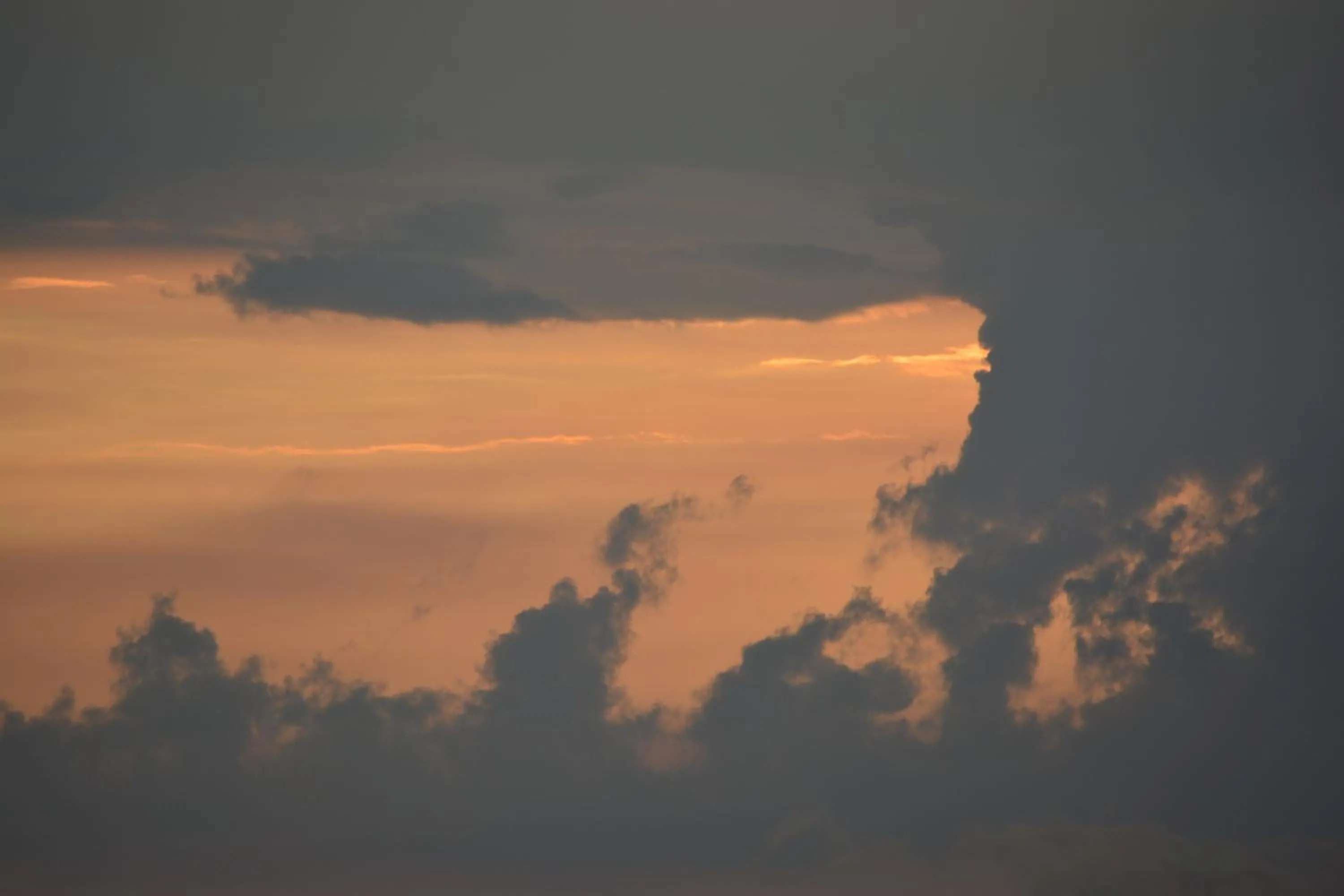 Natural landscape in Ekant Retreat Resort