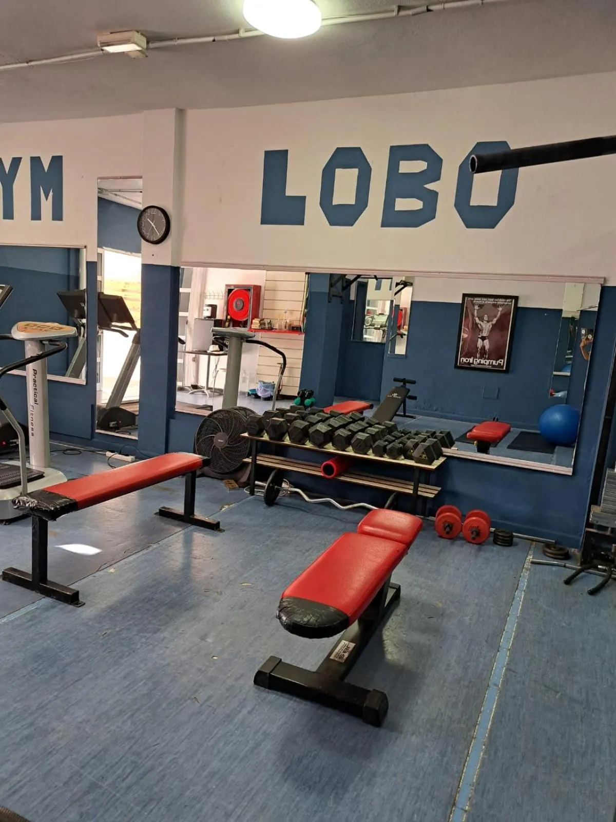 Fitness centre/facilities in Apartamentos LIVVO Morromar