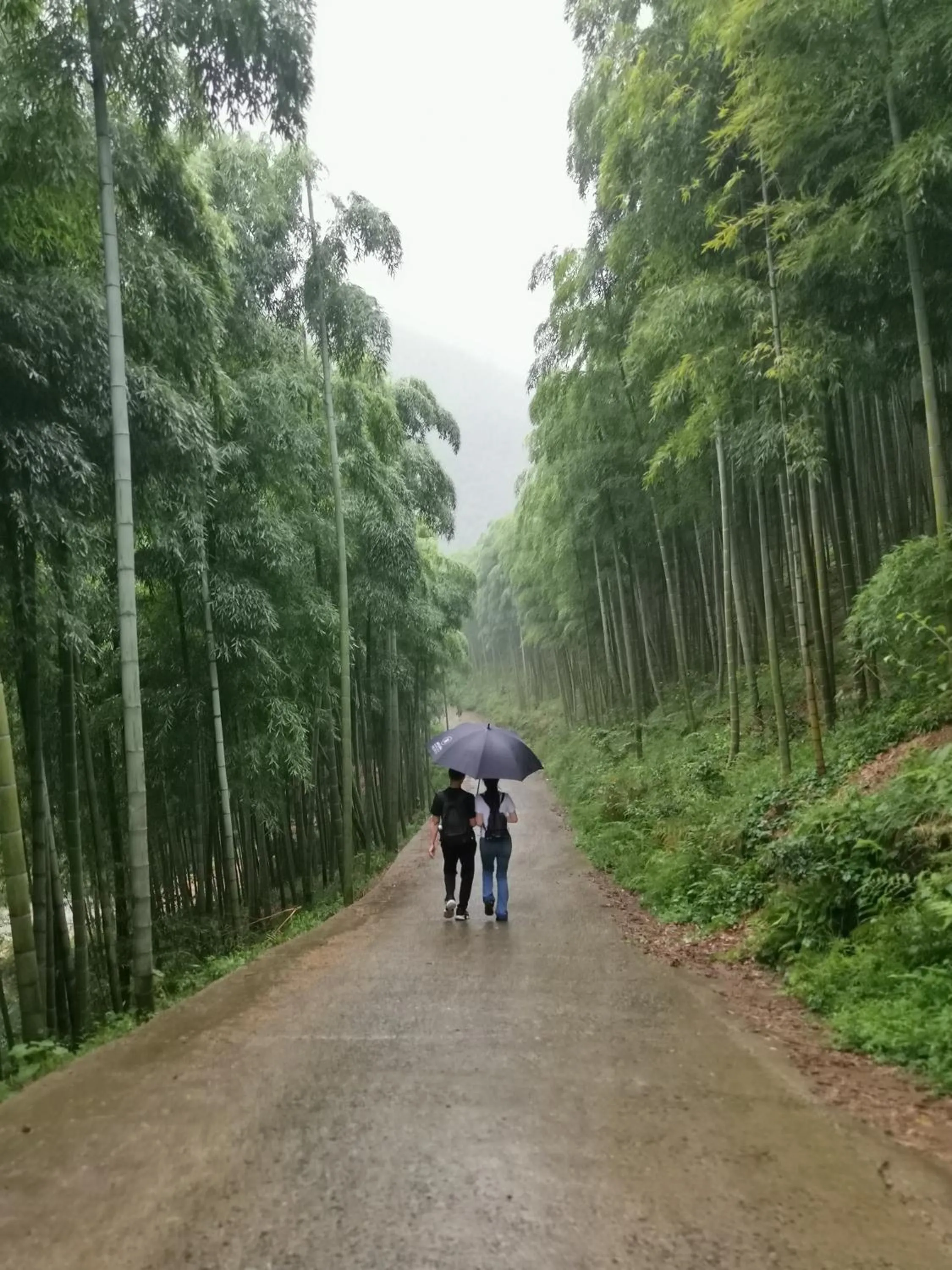 Hiking in Moganshan Arcadia Resorts