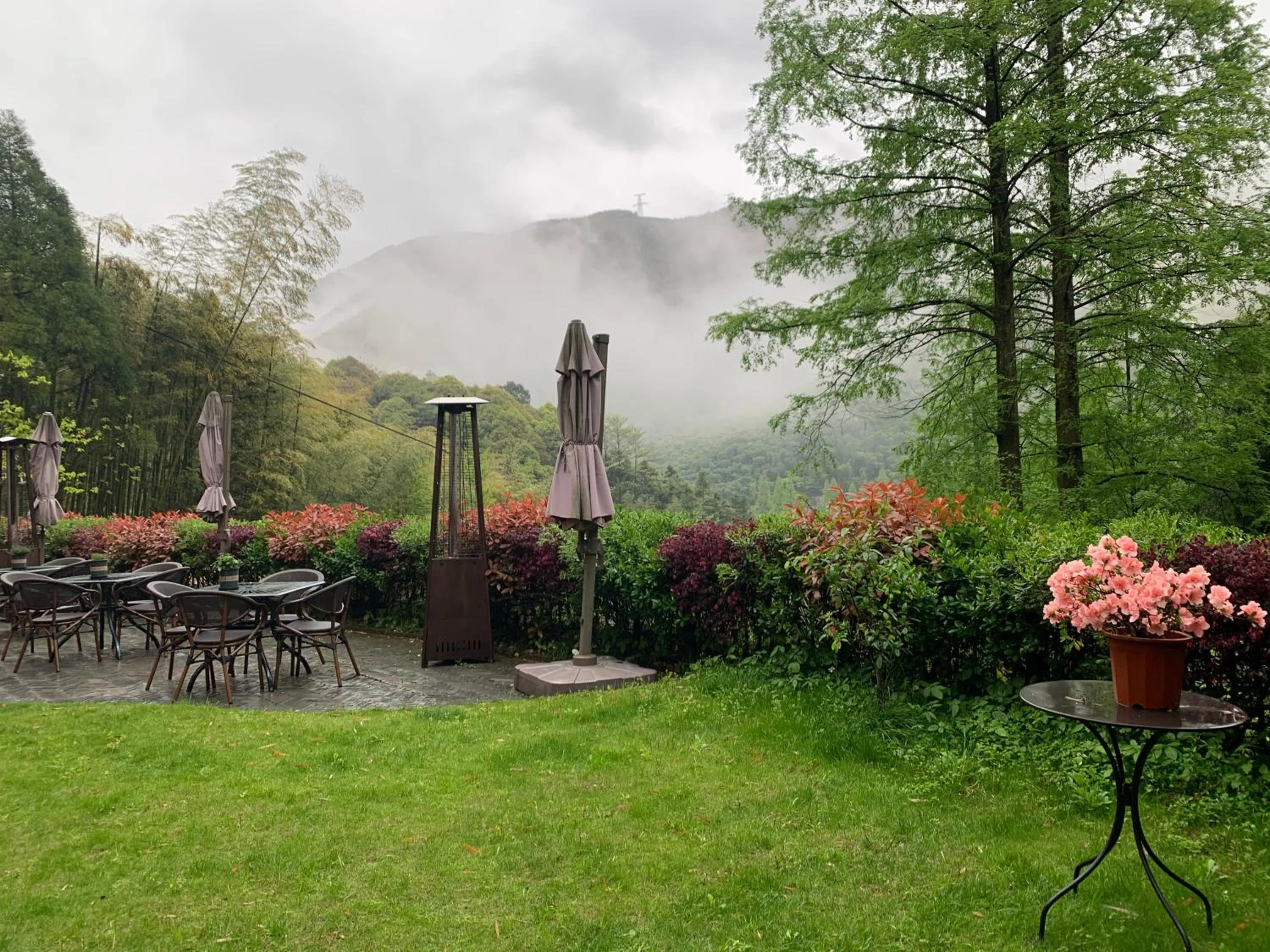 Natural landscape in Moganshan Arcadia Resorts