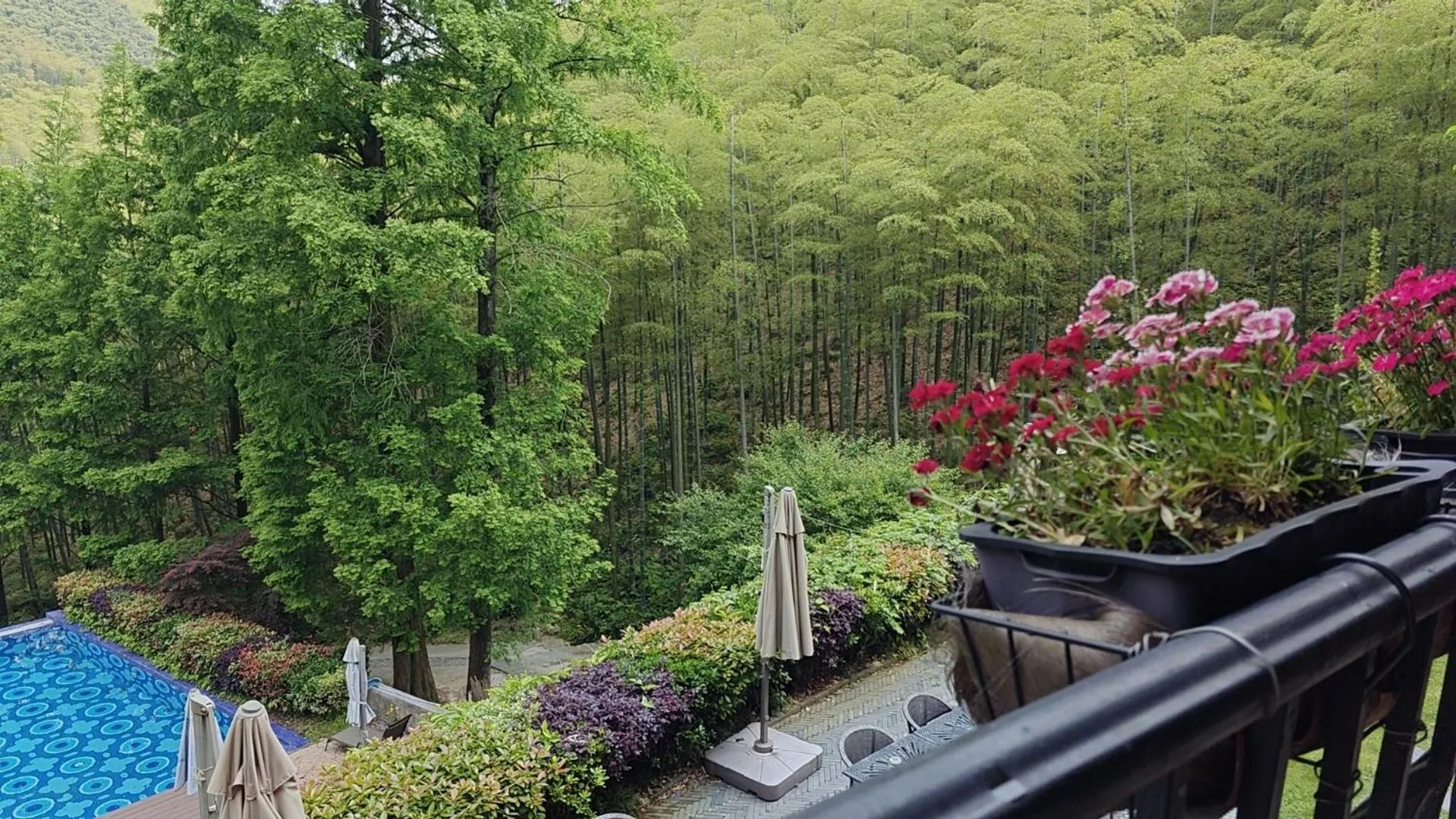 Day in Moganshan Arcadia Resorts