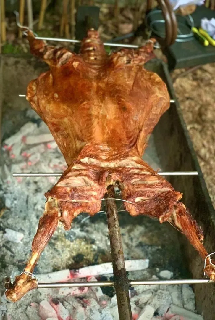 BBQ facilities in Moganshan Arcadia Resorts