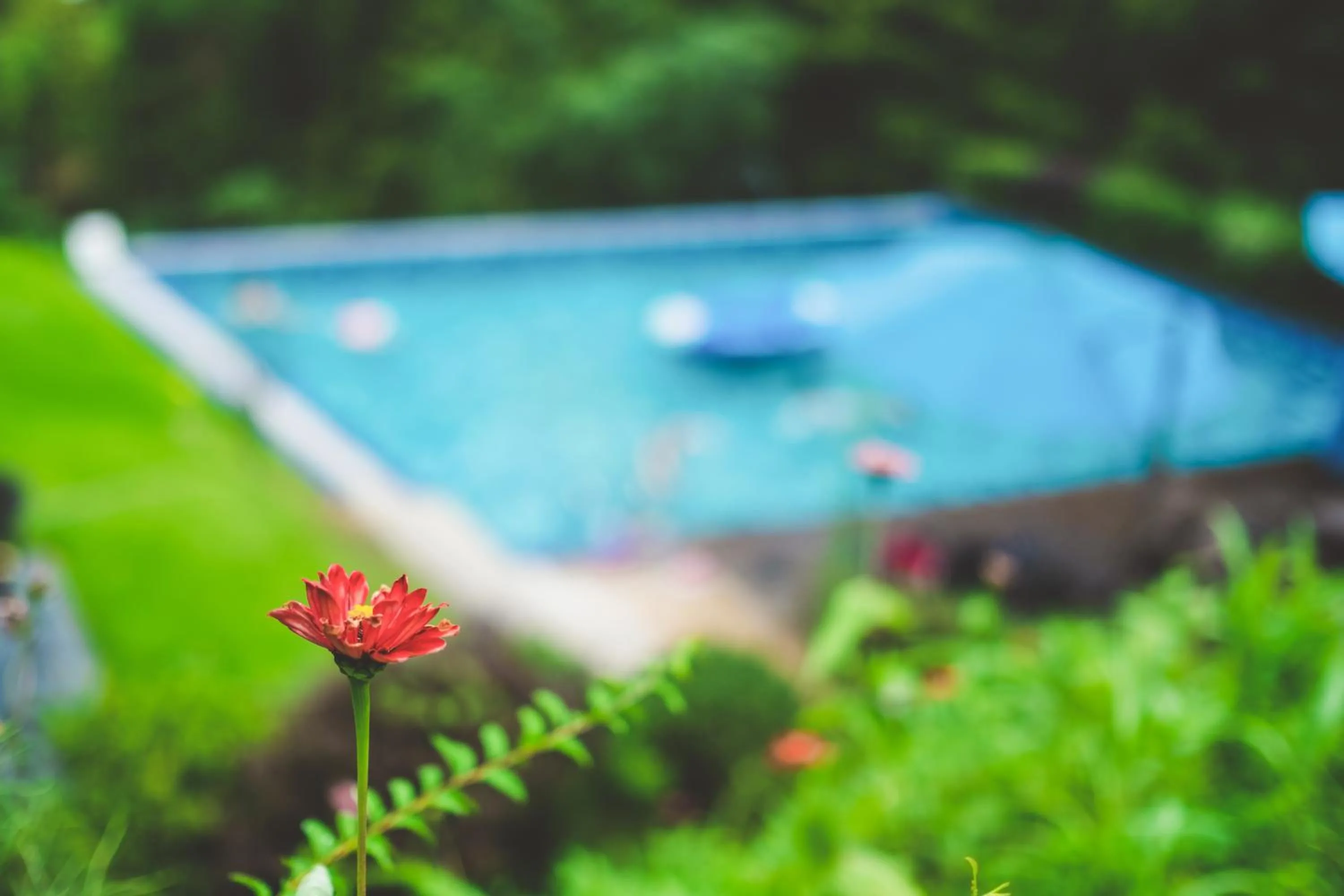 Garden in Moganshan Arcadia Resorts