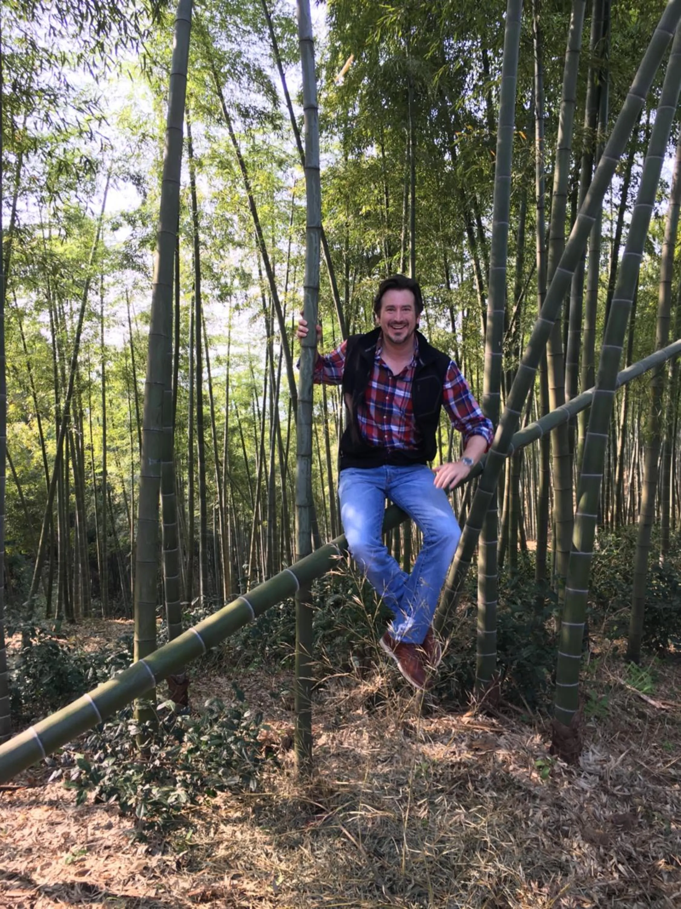 Spring in Moganshan Arcadia Resorts