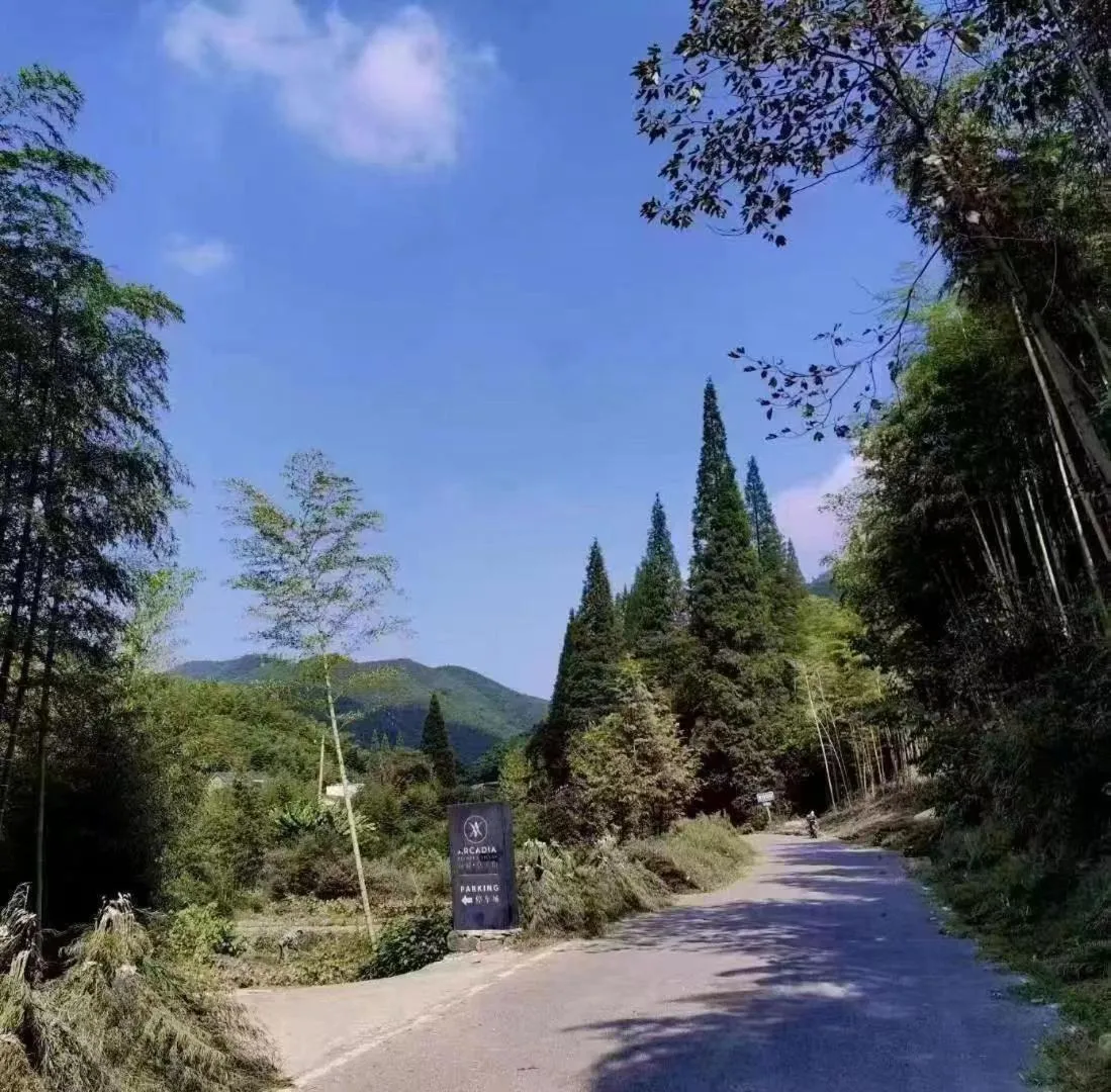 Parking in Moganshan Arcadia Resorts