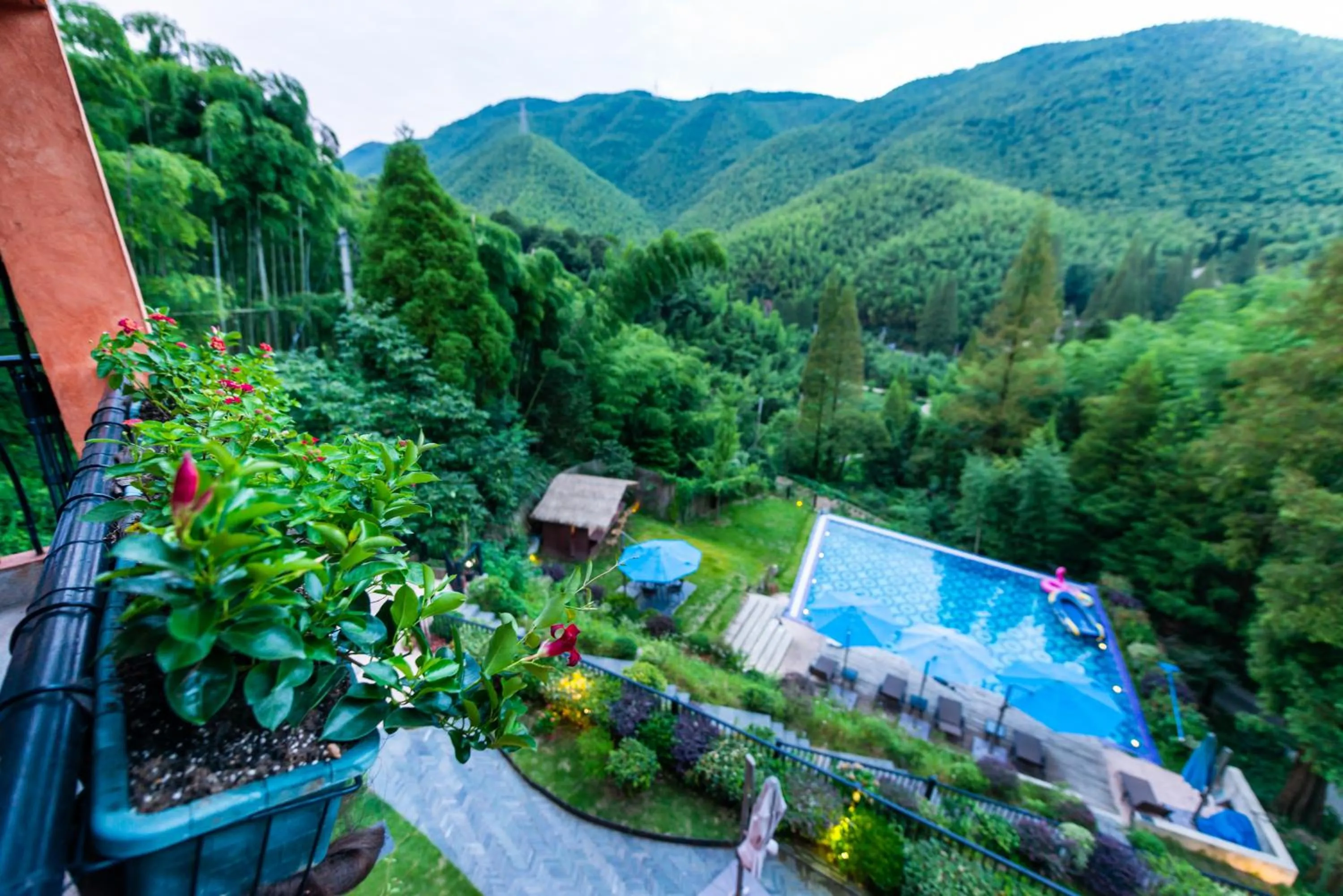 Garden in Moganshan Arcadia Resorts