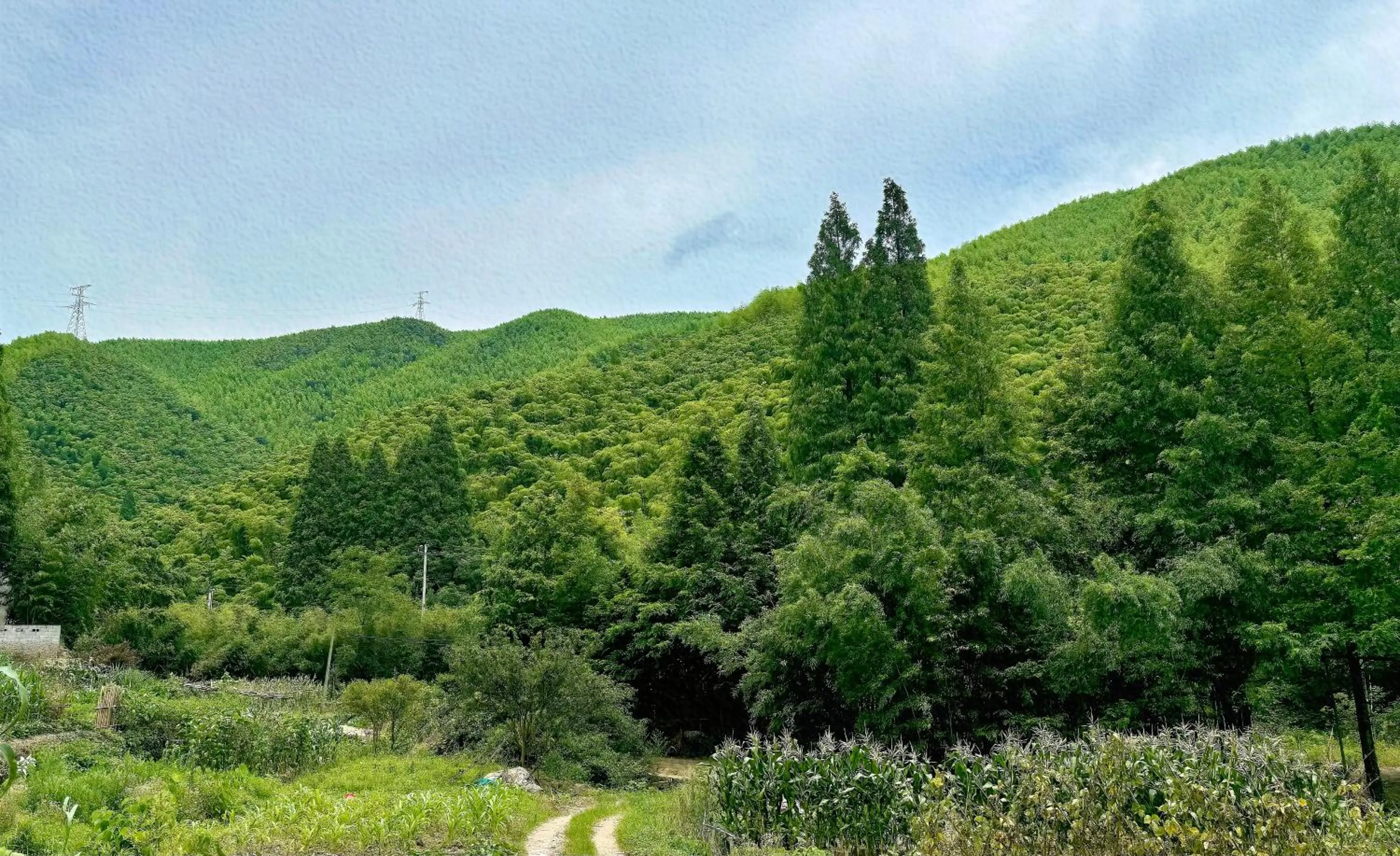 Hiking in Moganshan Arcadia Resorts