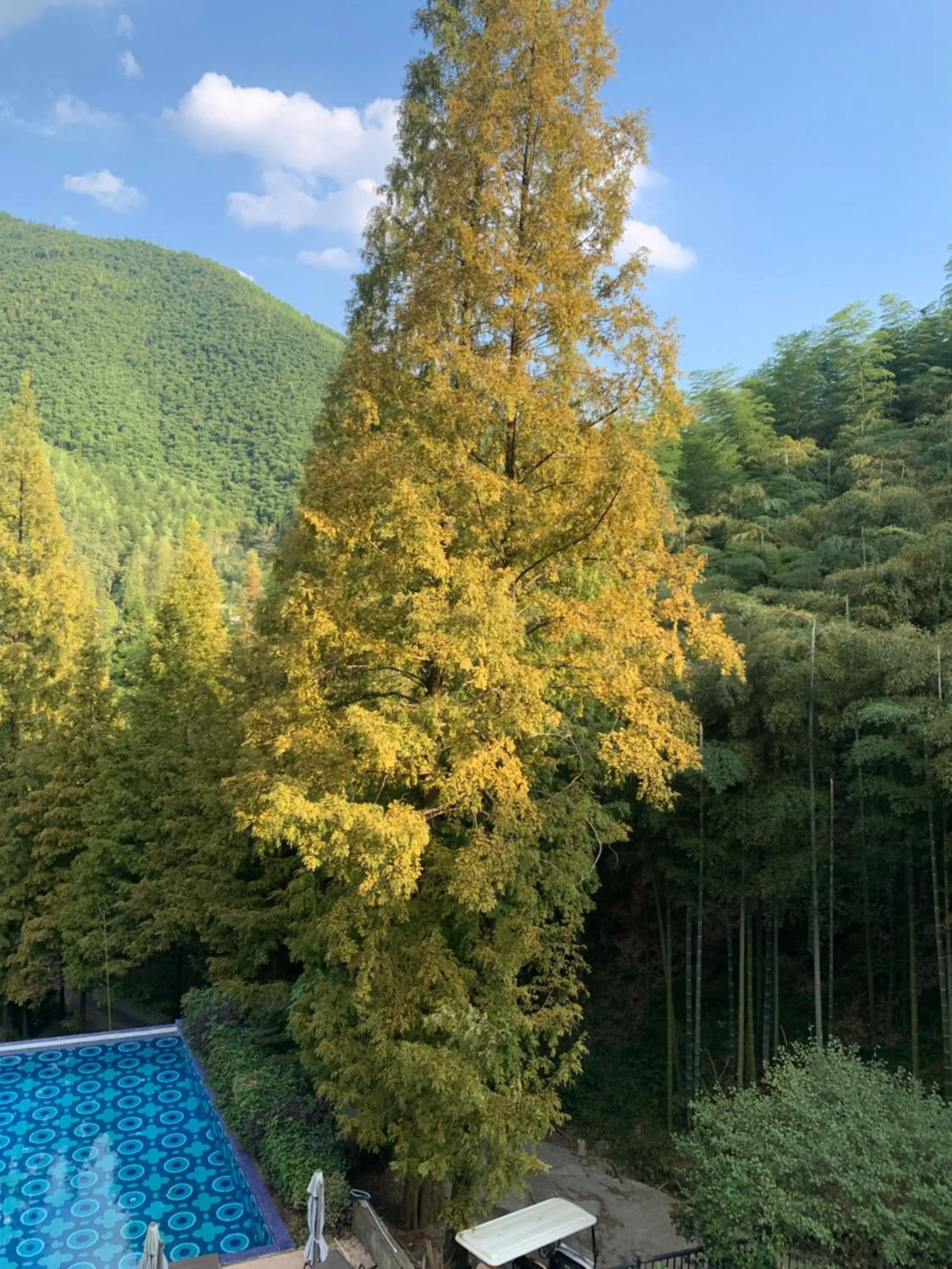 Natural landscape in Moganshan Arcadia Resorts