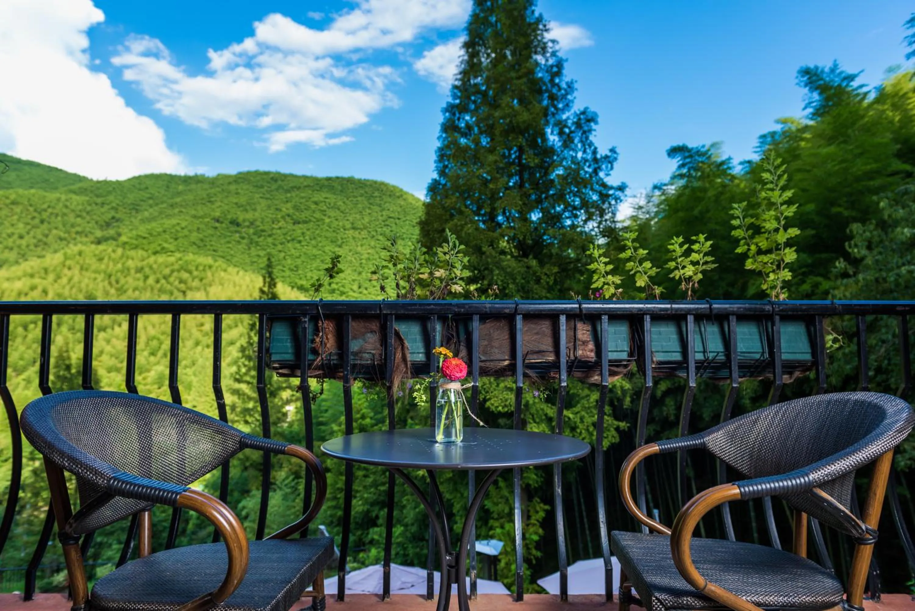 Patio in Moganshan Arcadia Resorts