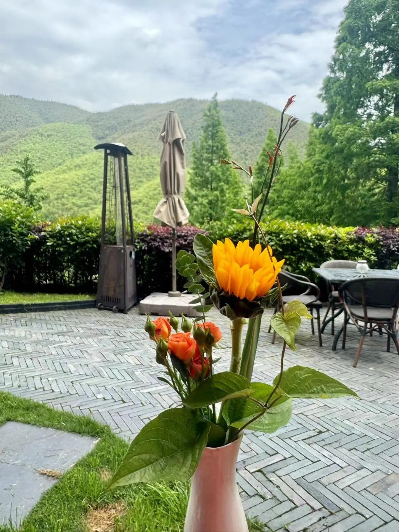Garden in Moganshan Arcadia Resorts