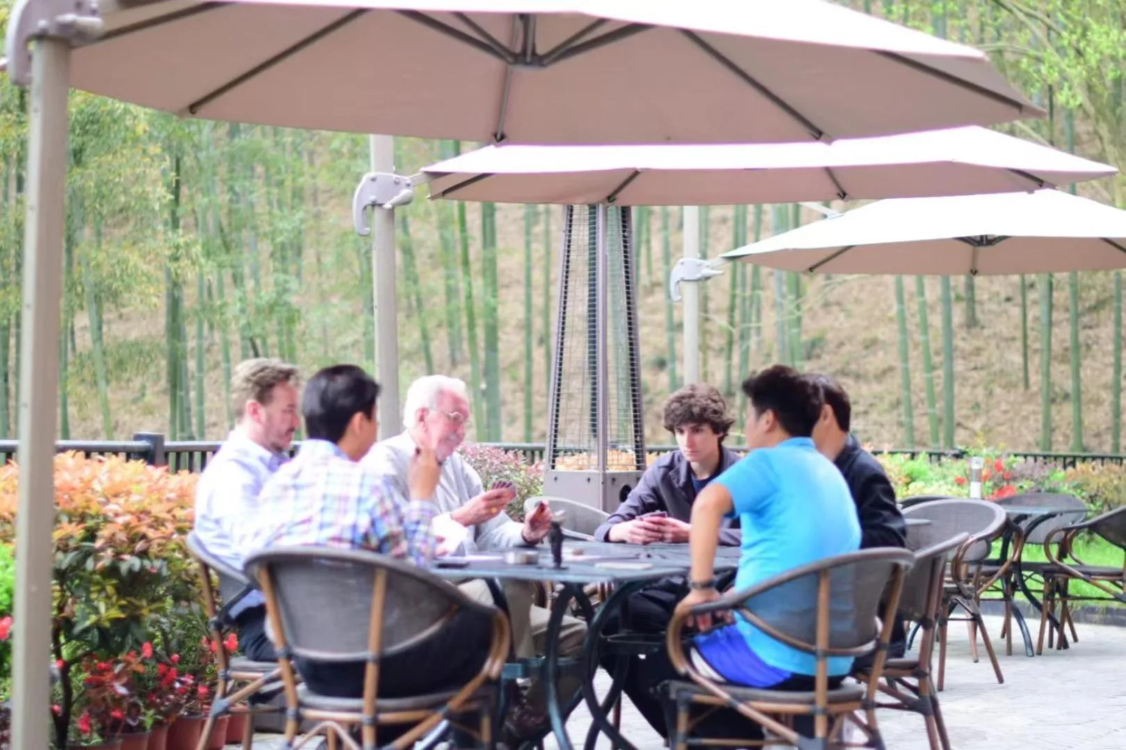 Garden in Moganshan Arcadia Resorts