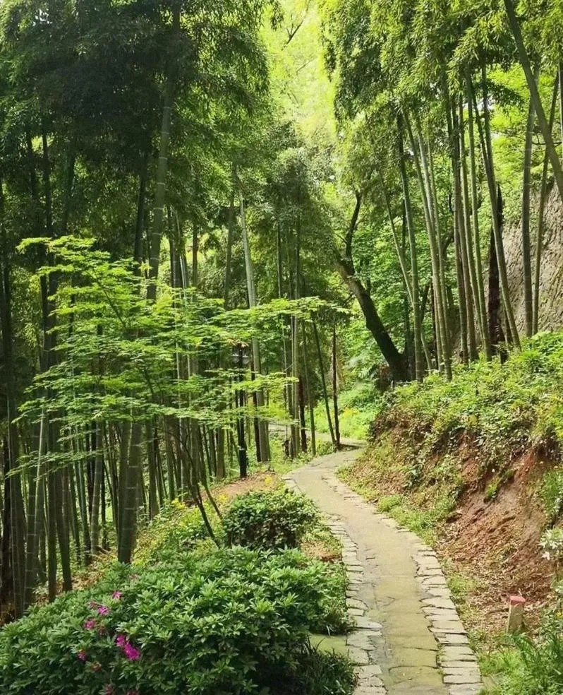 Hiking in Moganshan Arcadia Resorts