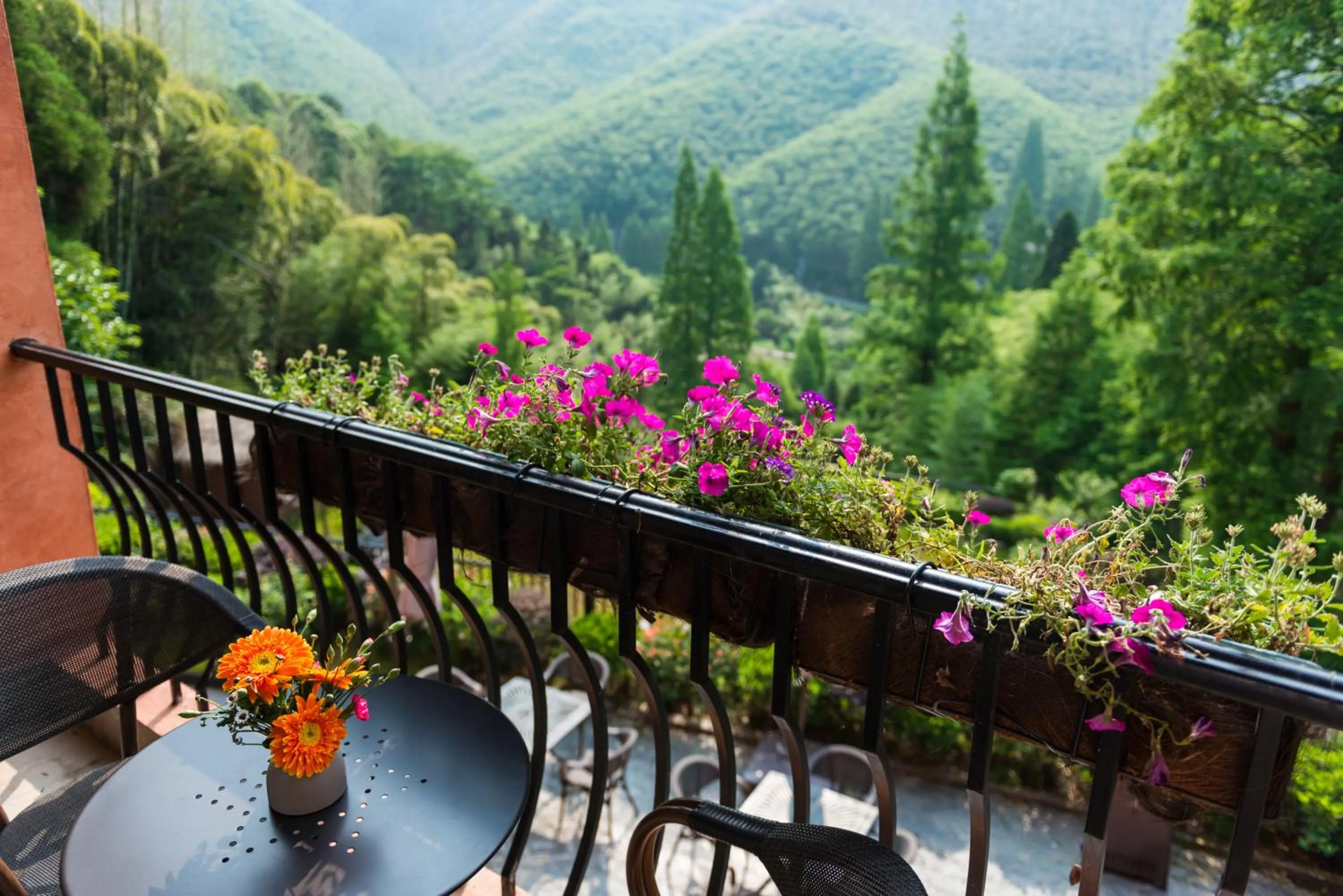 Spring in Moganshan Arcadia Resorts