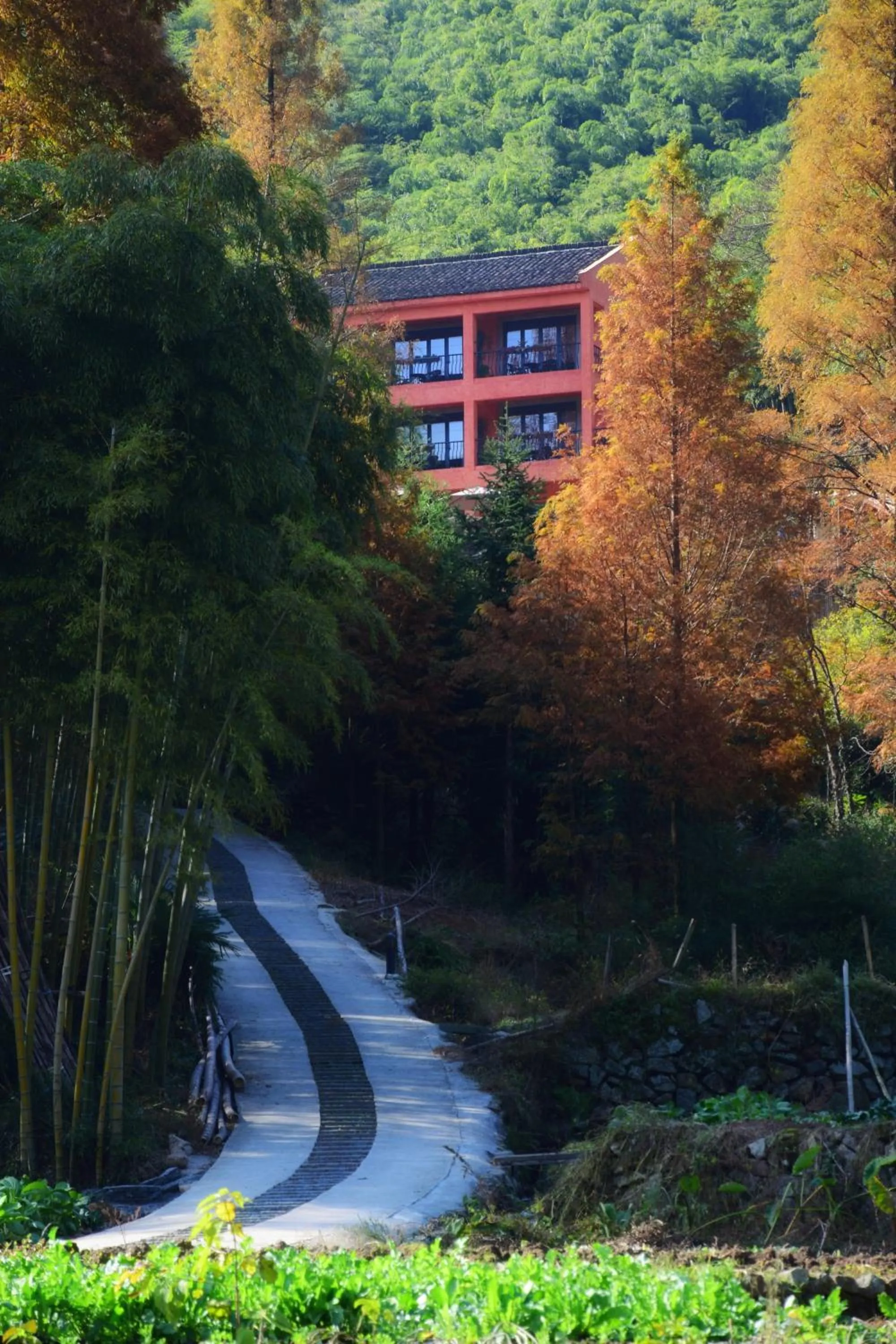 Property building in Moganshan Arcadia Resorts