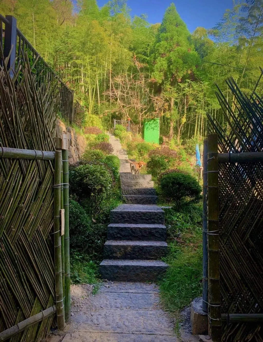 Garden in Moganshan Arcadia Resorts