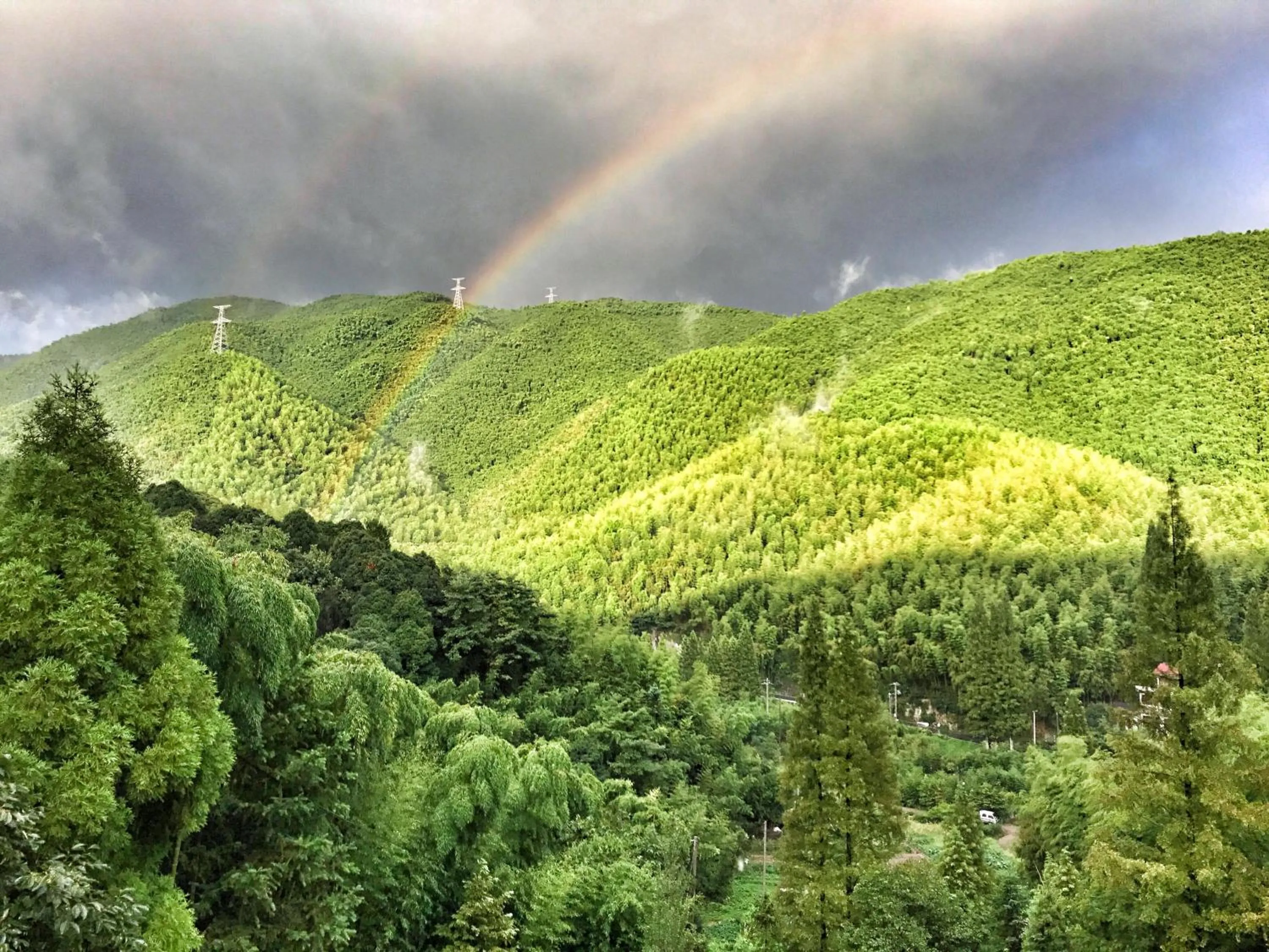 Spring in Moganshan Arcadia Resorts