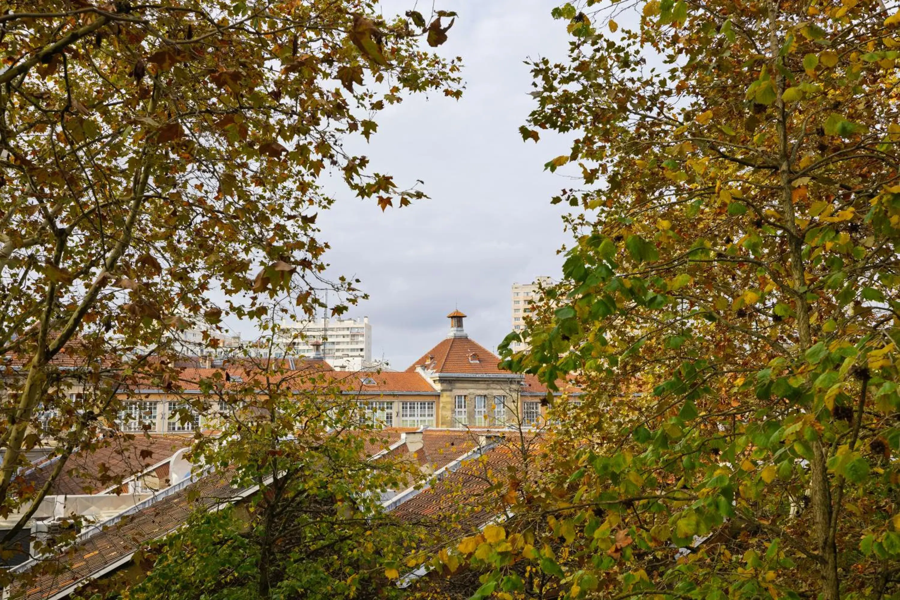 City view in Jack's Hotel City view in Jack's Hotel