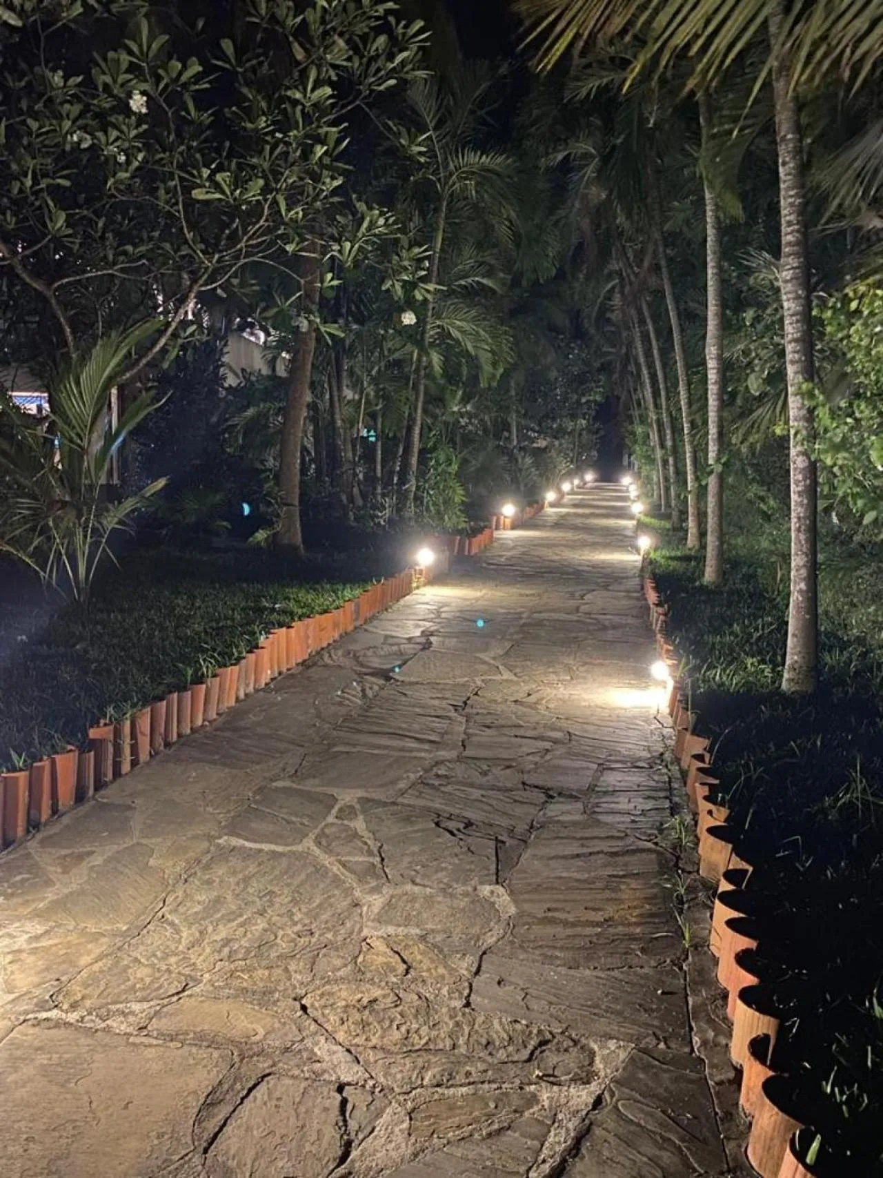 Restaurant/places to eat in Indiana Beach Apartments