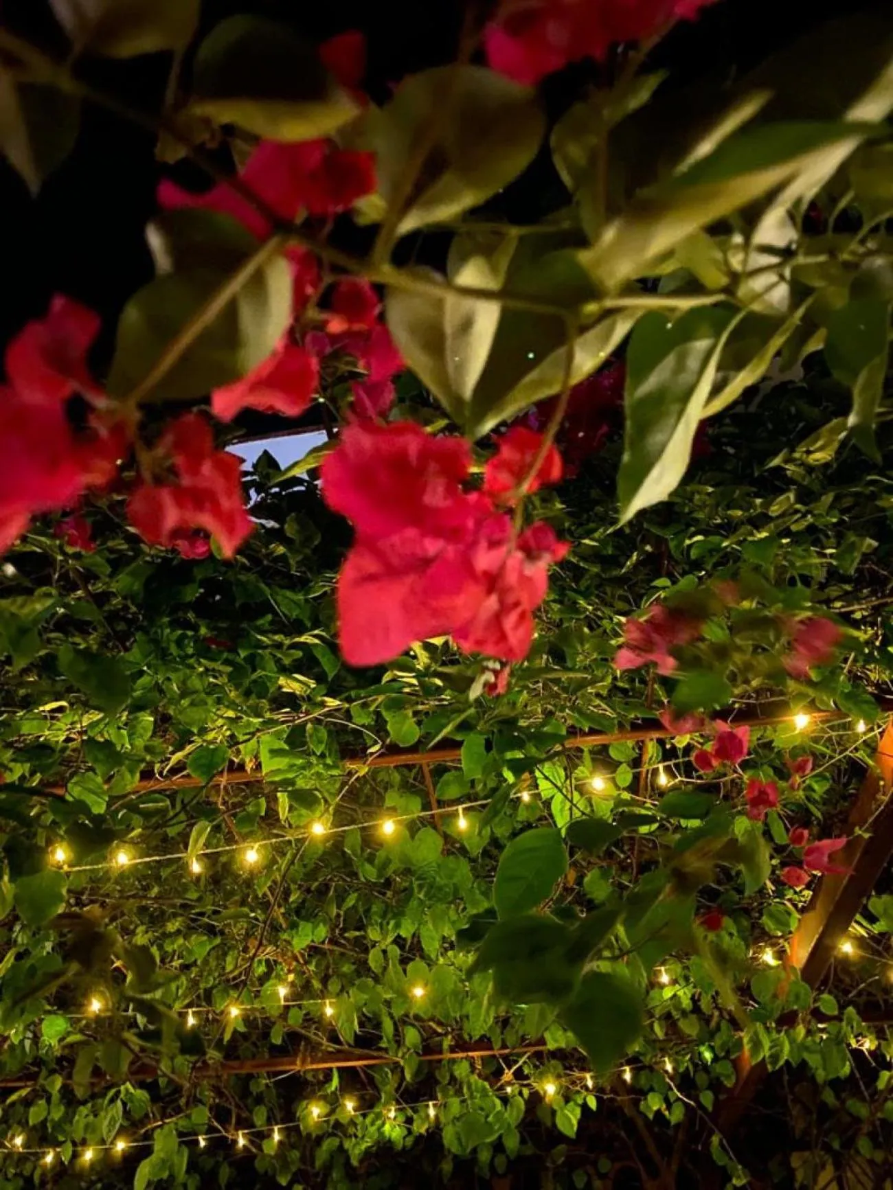 Property building in Indiana Beach Apartments