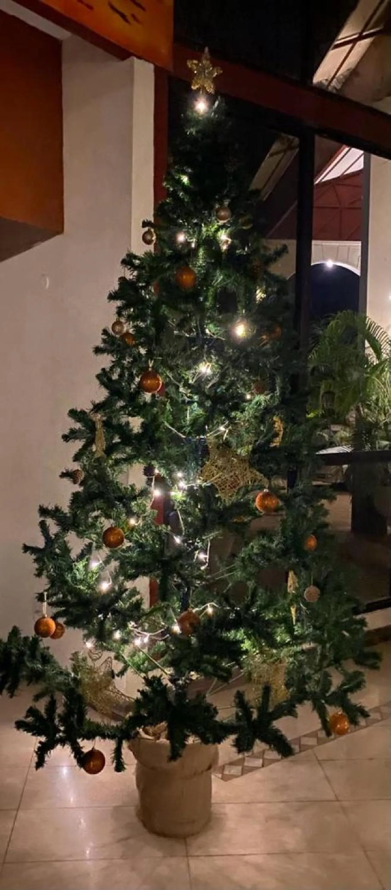 Lobby or reception in Indiana Beach Apartments