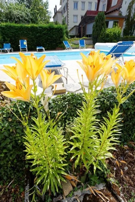 Staff in Logis Hôtel restaurant Bel Horizon