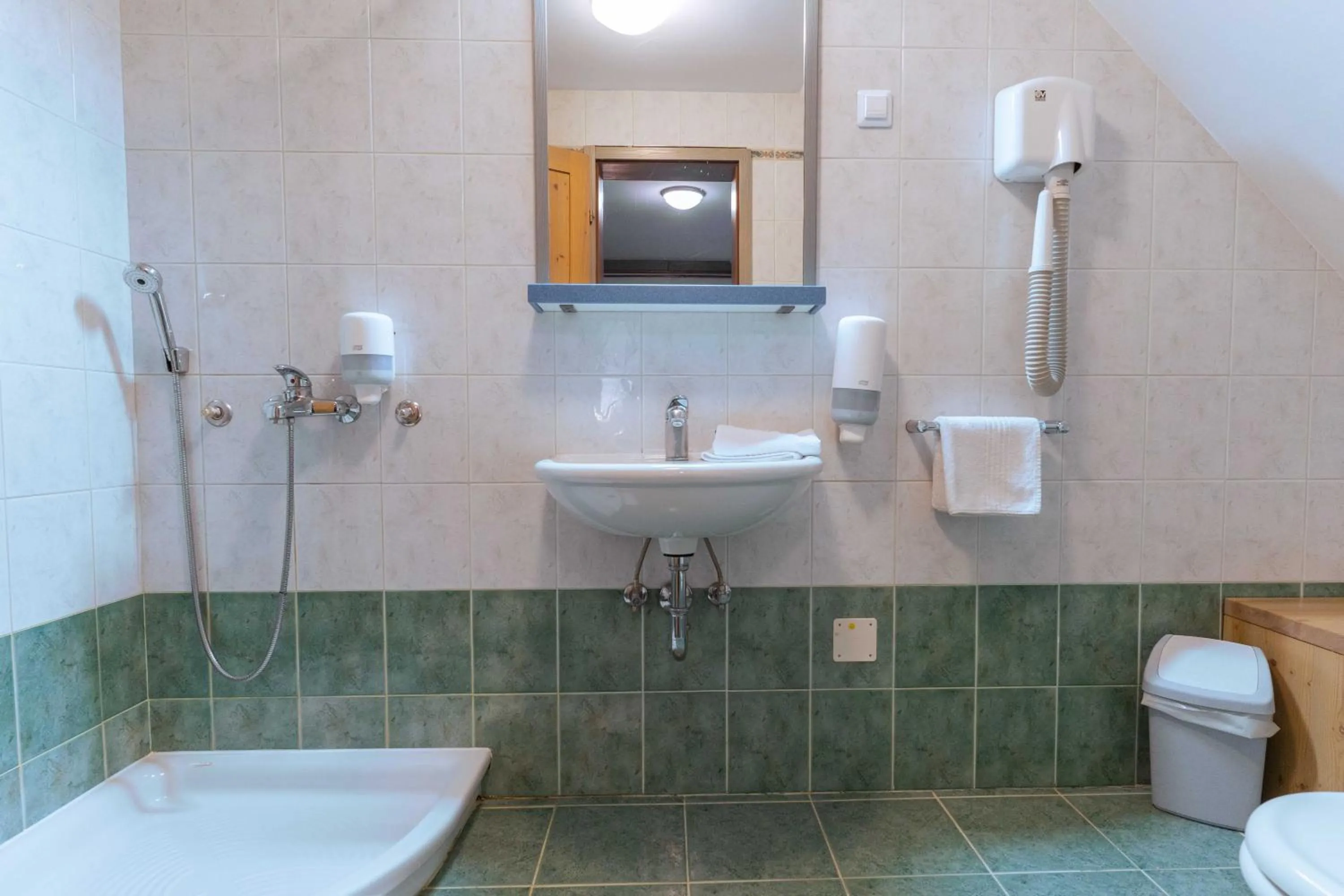 Bathroom in Hotel Krvavec