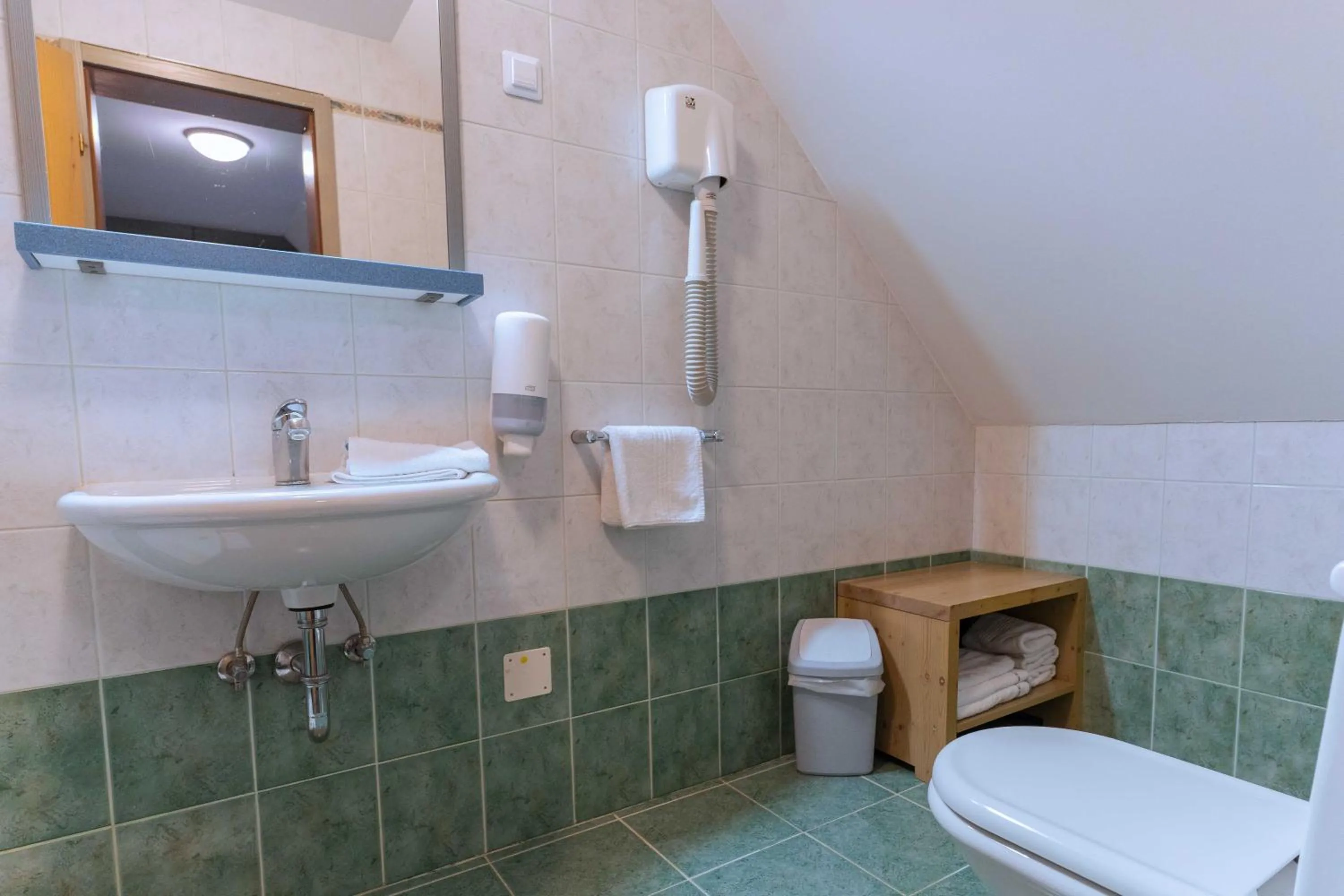 Bathroom in Hotel Krvavec