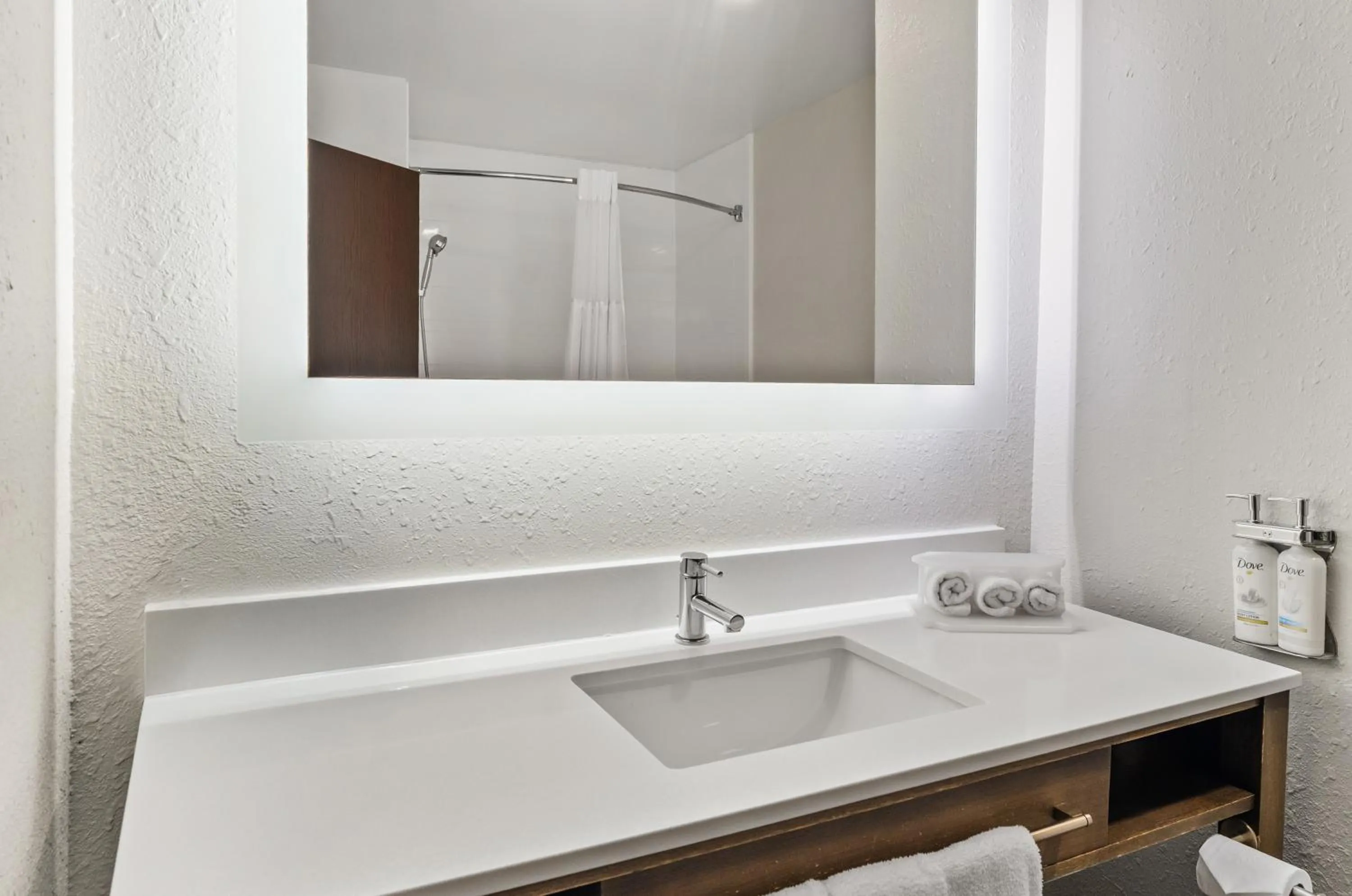 Bathroom in Holiday Inn Express Princeton/I-77 by IHG