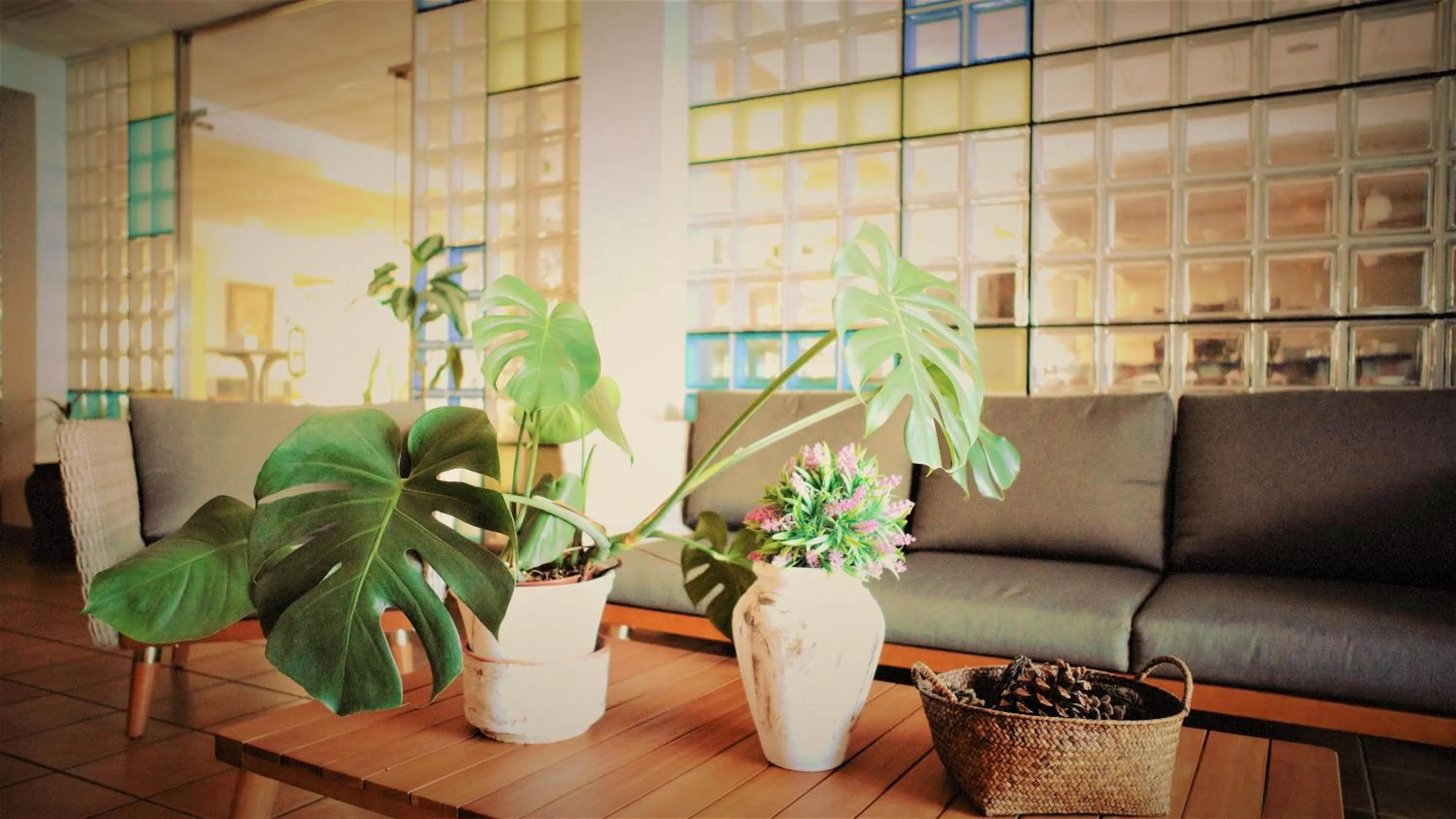 Communal lounge/ TV room in Hotel Ayamontino