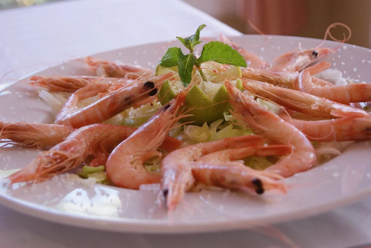 Restaurant/places to eat in Hotel Ayamontino