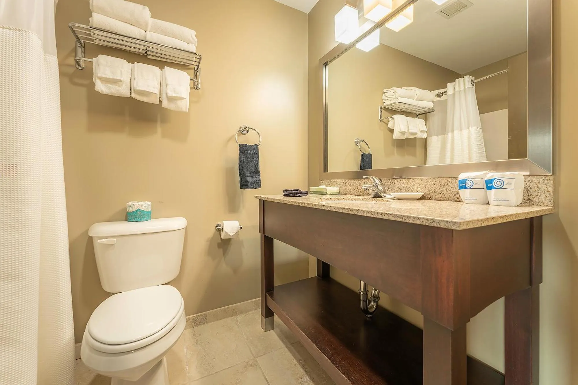 Toilet in Sun & Ski Inn and Suites