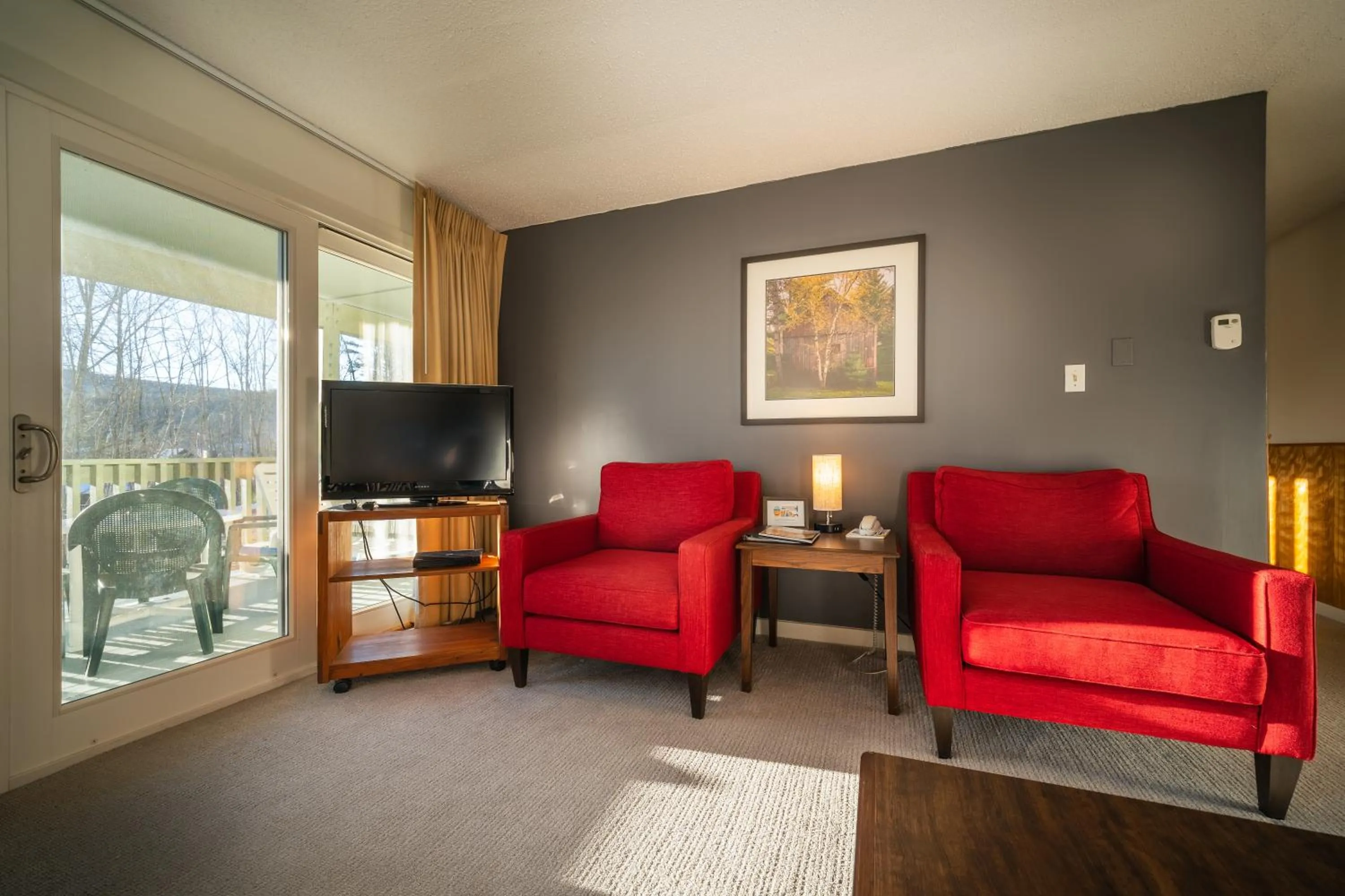 TV and multimedia in Sun & Ski Inn and Suites