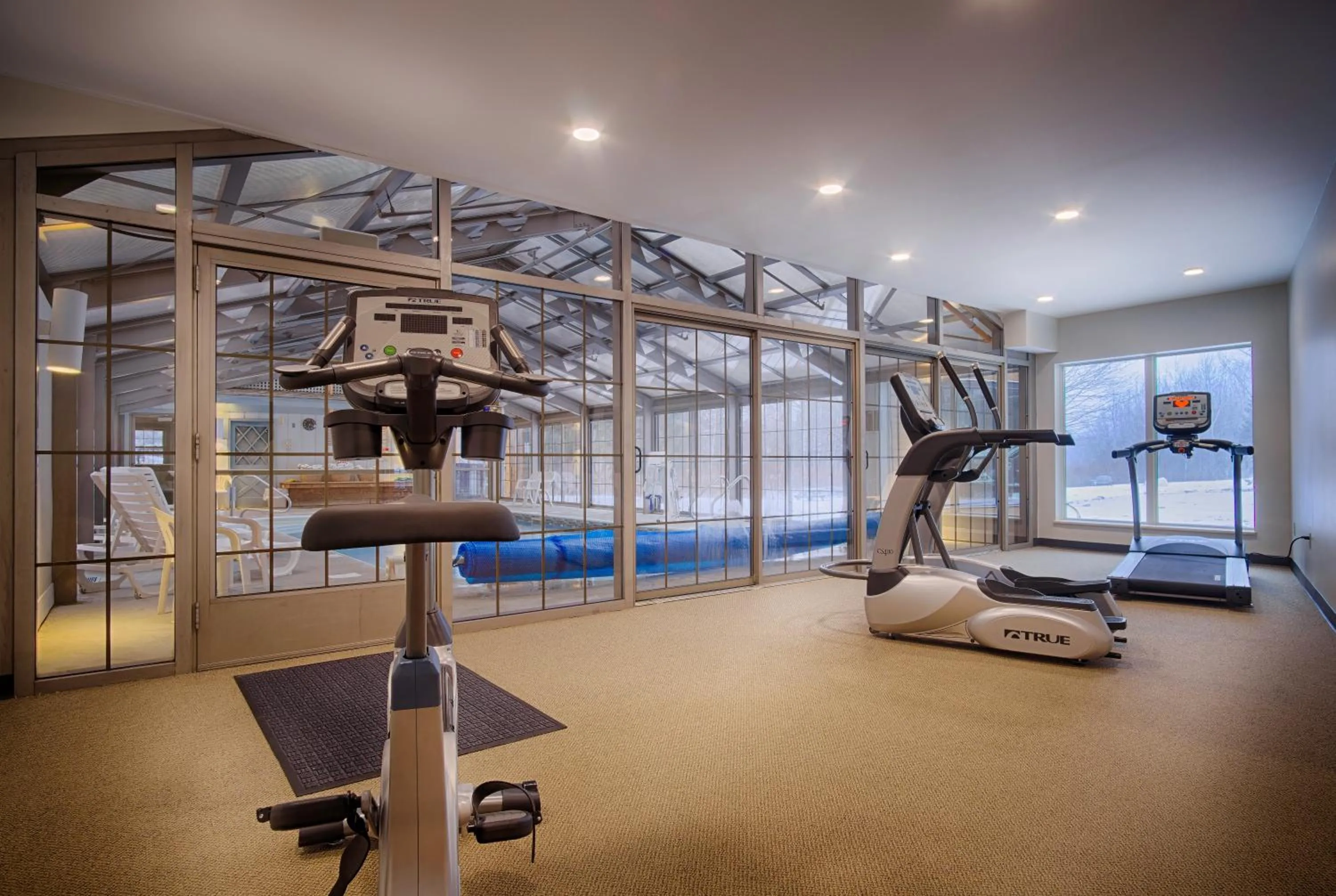 Fitness centre/facilities in Sun & Ski Inn and Suites