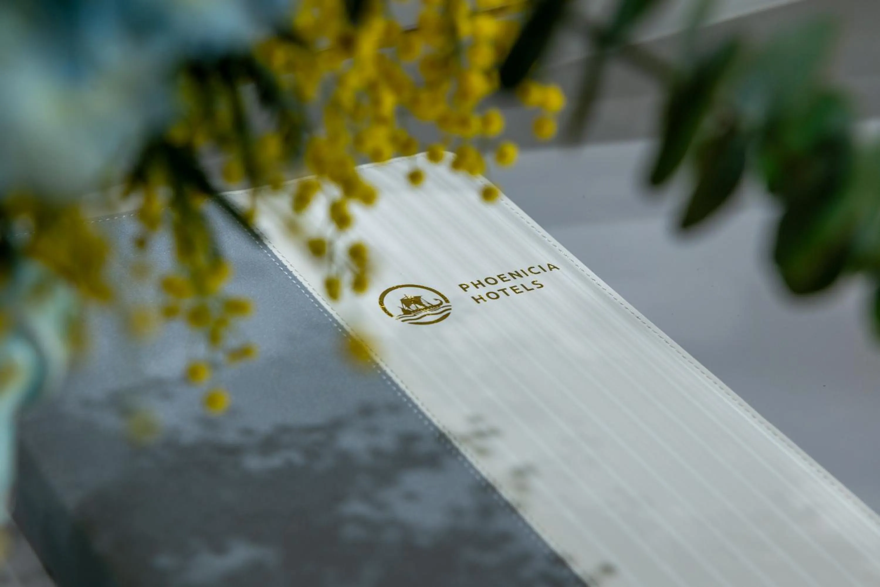 Photo of the whole room in Phoenicia Express Hotel