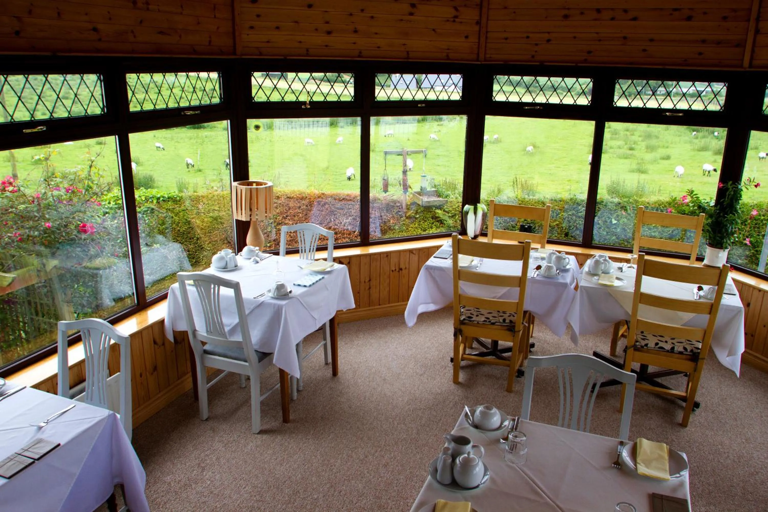 English/Irish breakfast in Mourneview B & B
