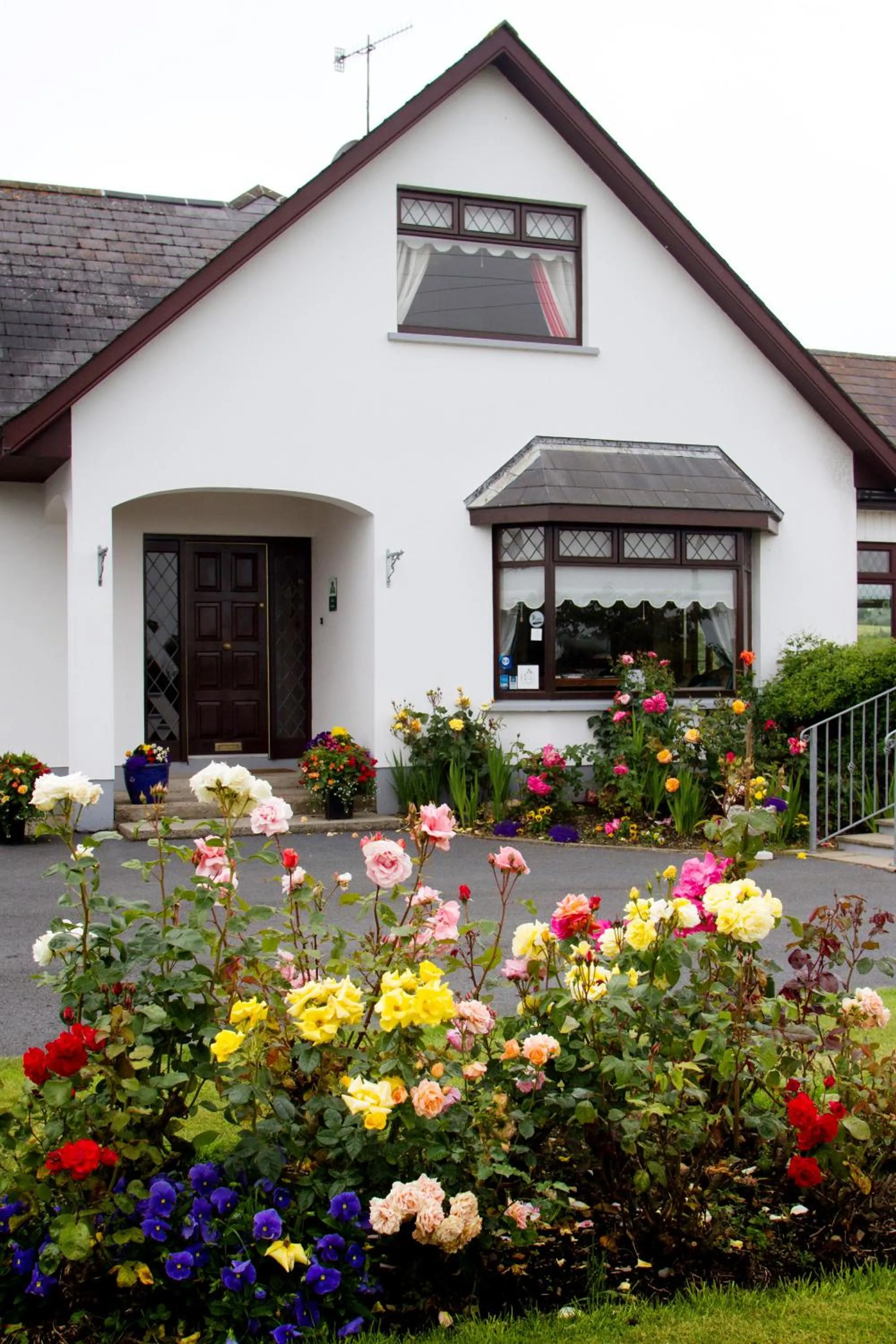 Garden in Mourneview B & B