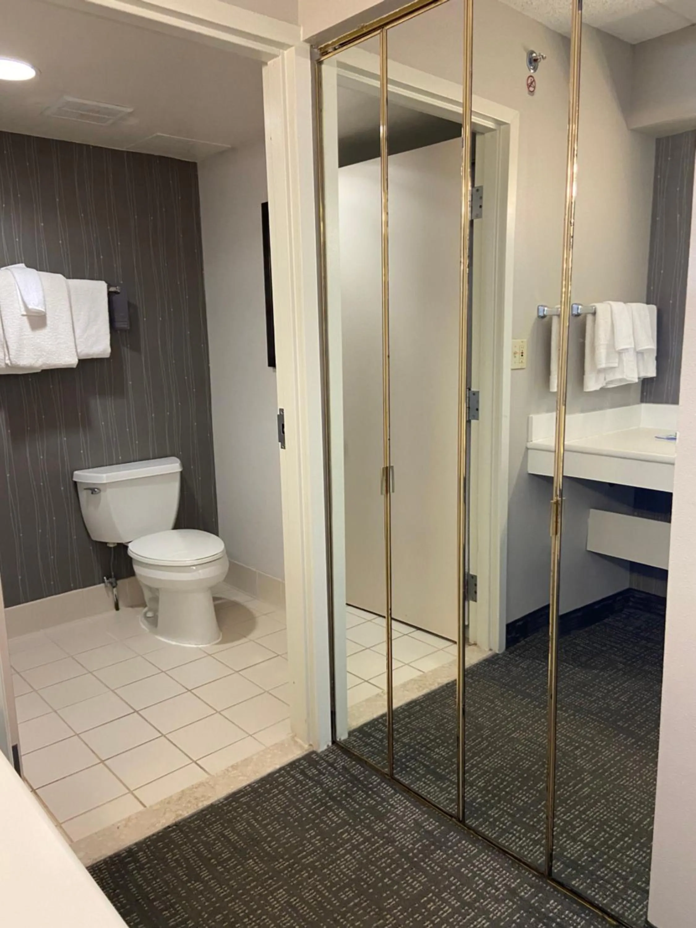 Bathroom in Courtyard Detroit Brighton