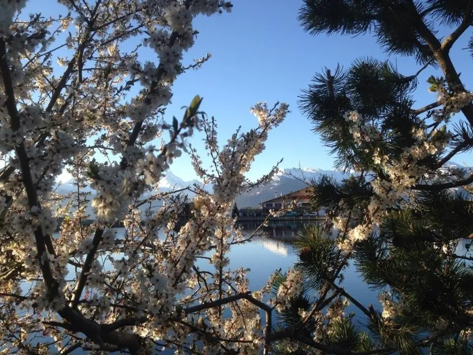 Property building in Hotel du Lac