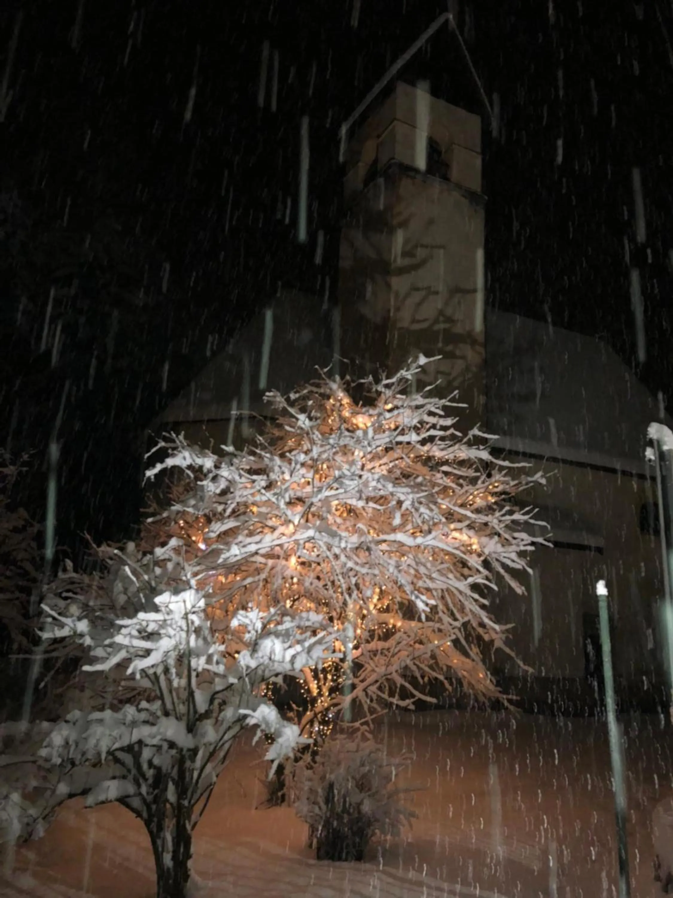 Night in TH Borca di Cadore - Park Hotel Des Dolomites
