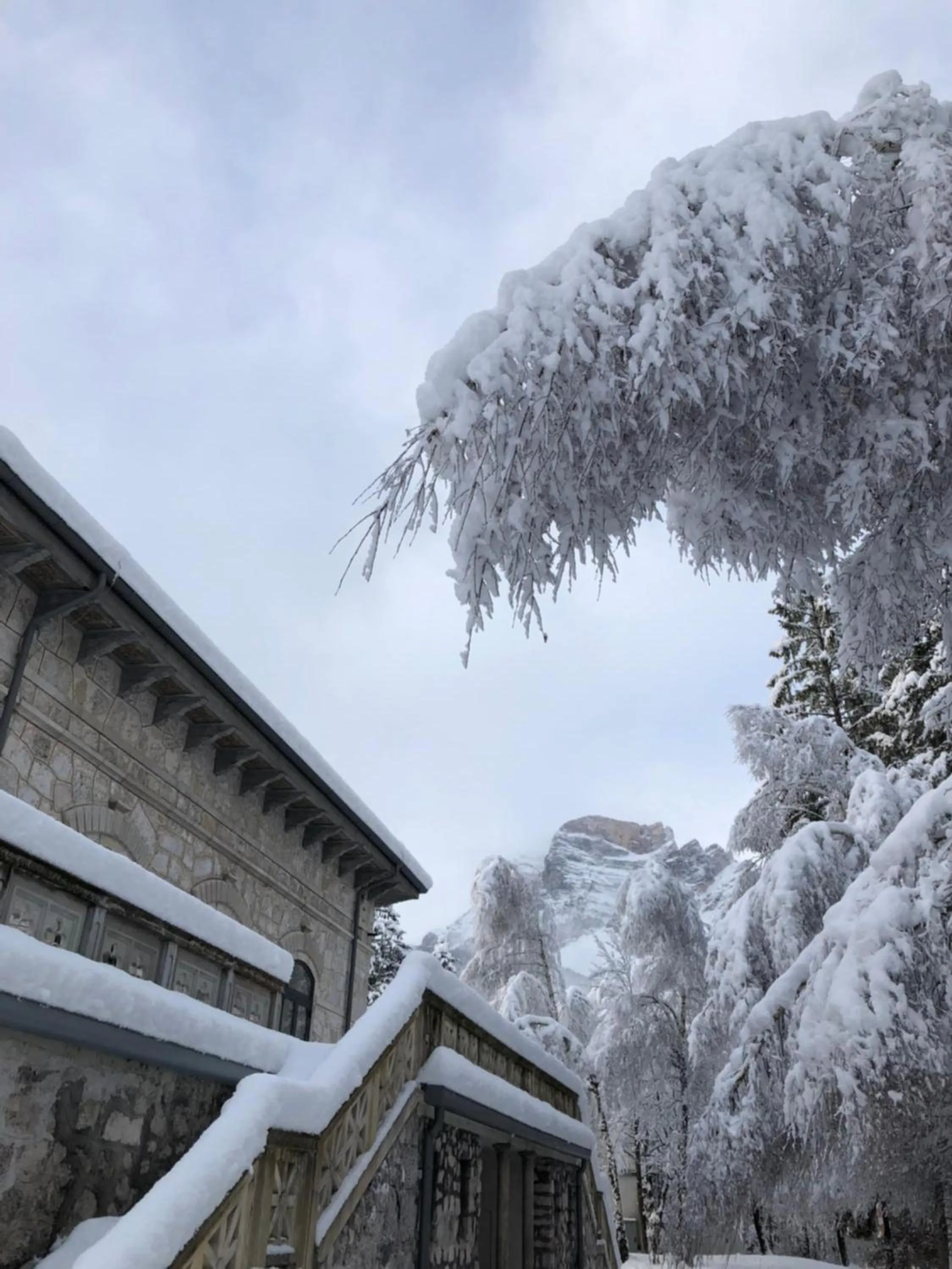 Facade/entrance in TH Borca di Cadore - Park Hotel Des Dolomites