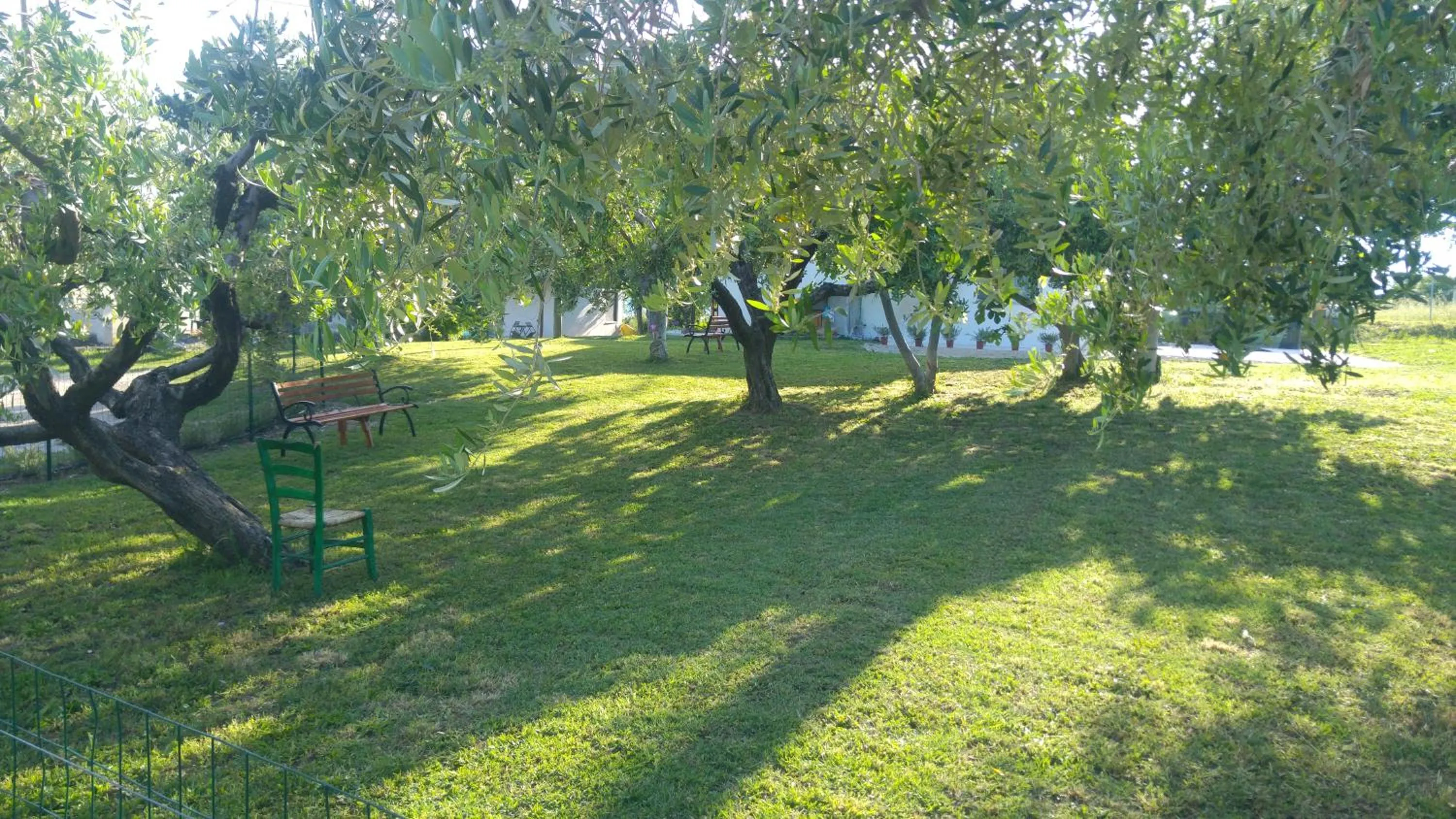 Garden view in Relais Il Giardino fra gli Ulivi - Oasi Panoramica Vista Mare