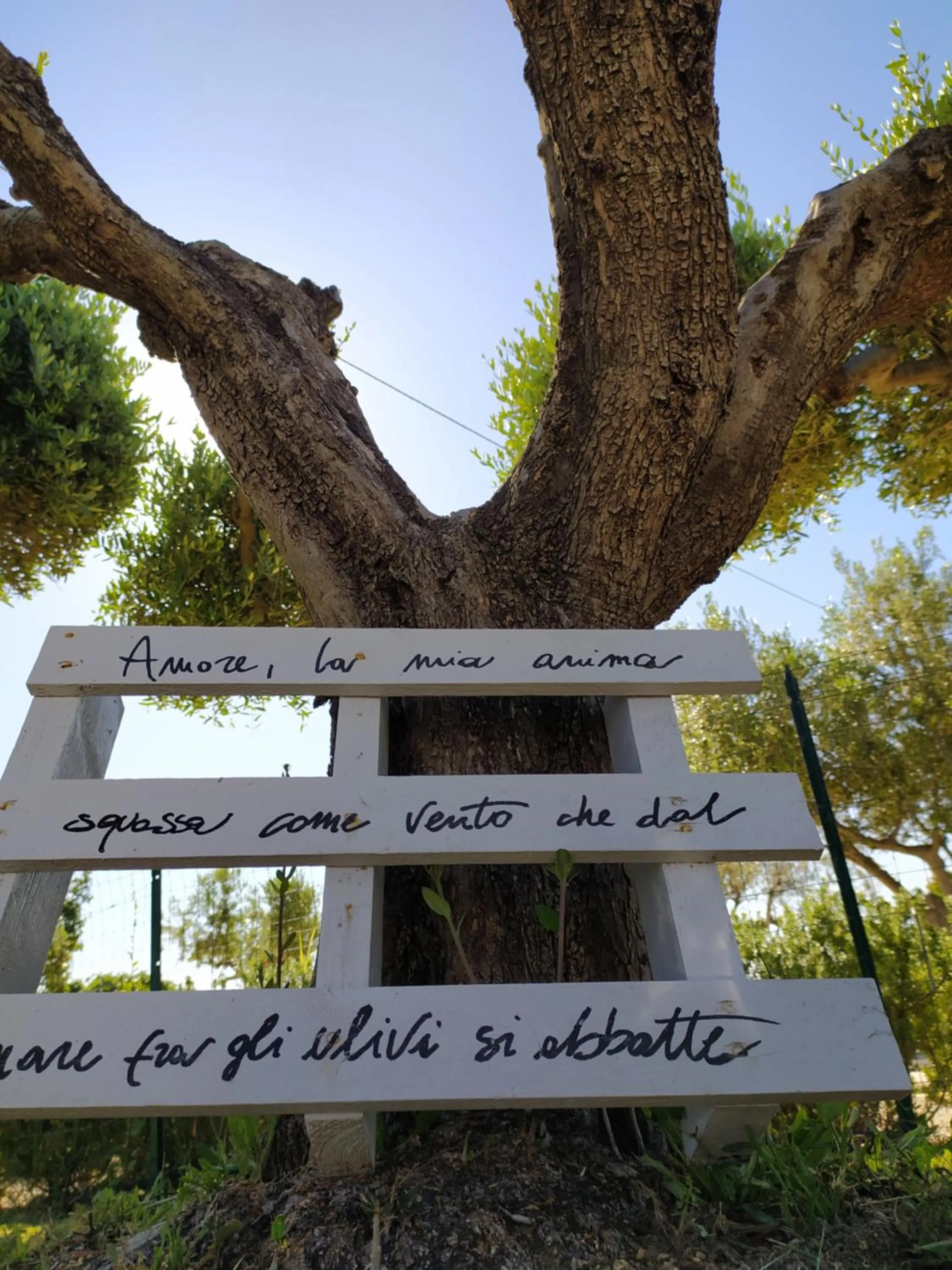 Relais Il Giardino fra gli Ulivi - Oasi Panoramica Vista Mare