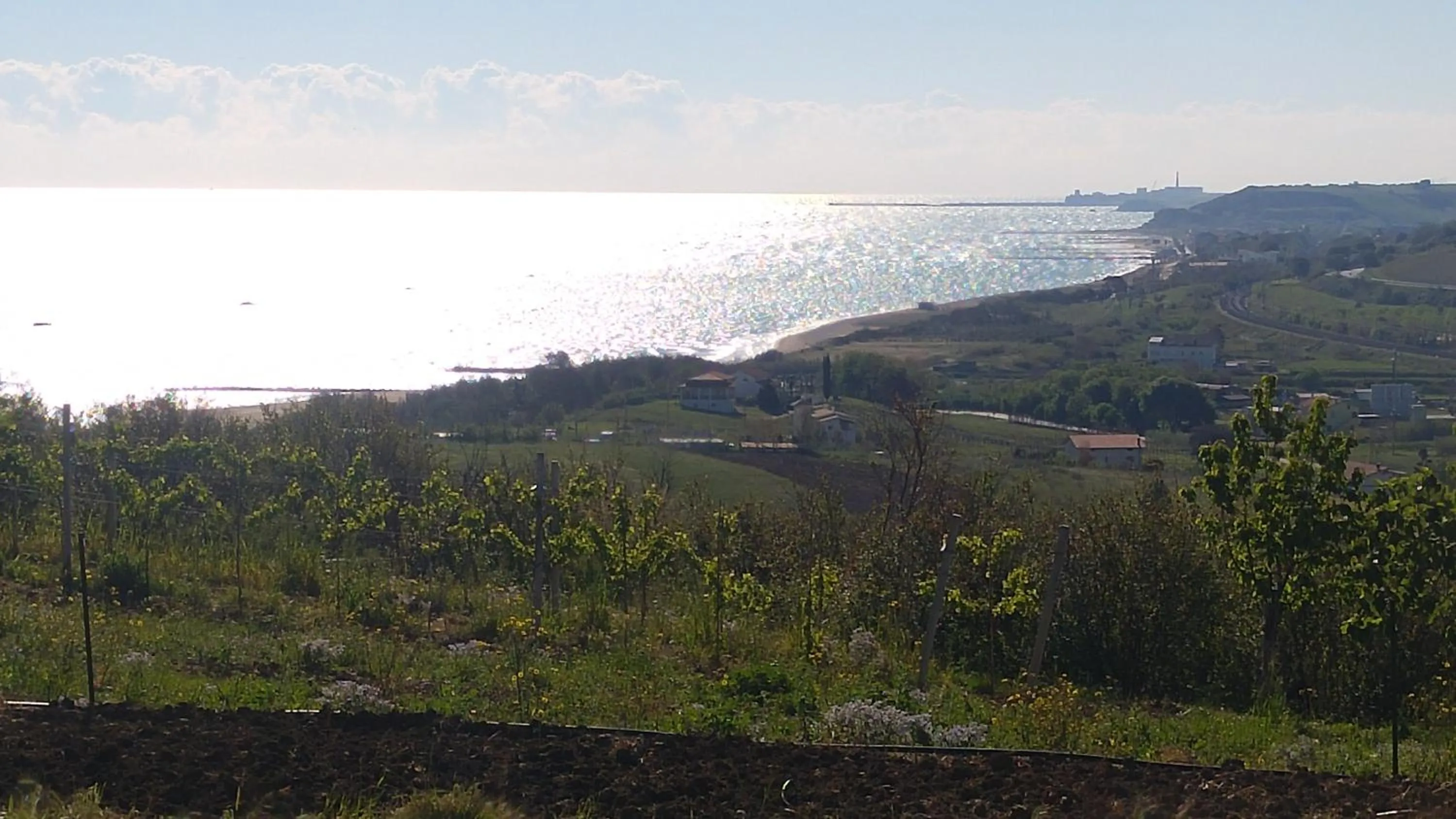 View (from property/room) in Relais Il Giardino fra gli Ulivi - Oasi Panoramica Vista Mare