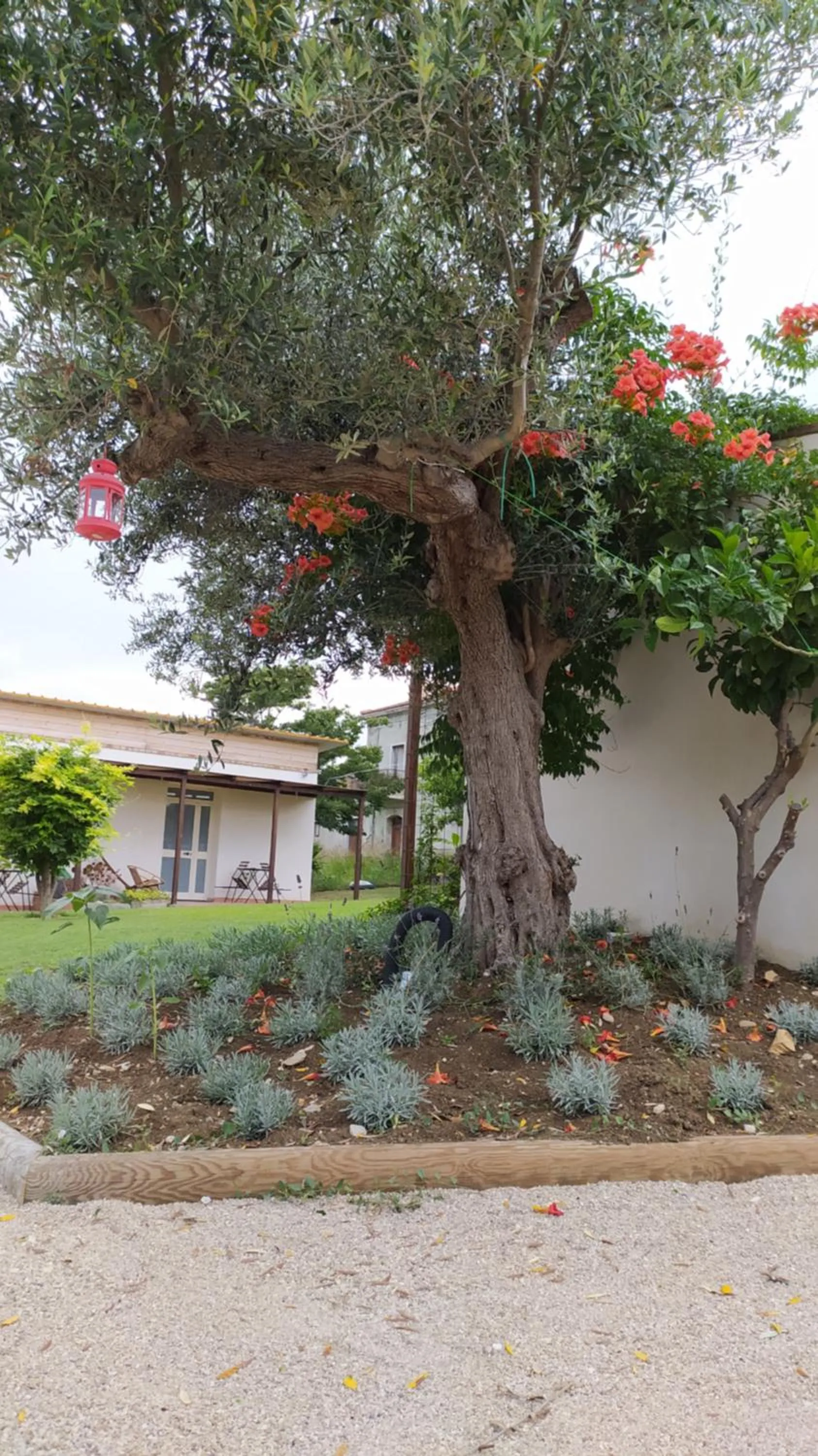 Relais Il Giardino fra gli Ulivi - Oasi Panoramica Vista Mare