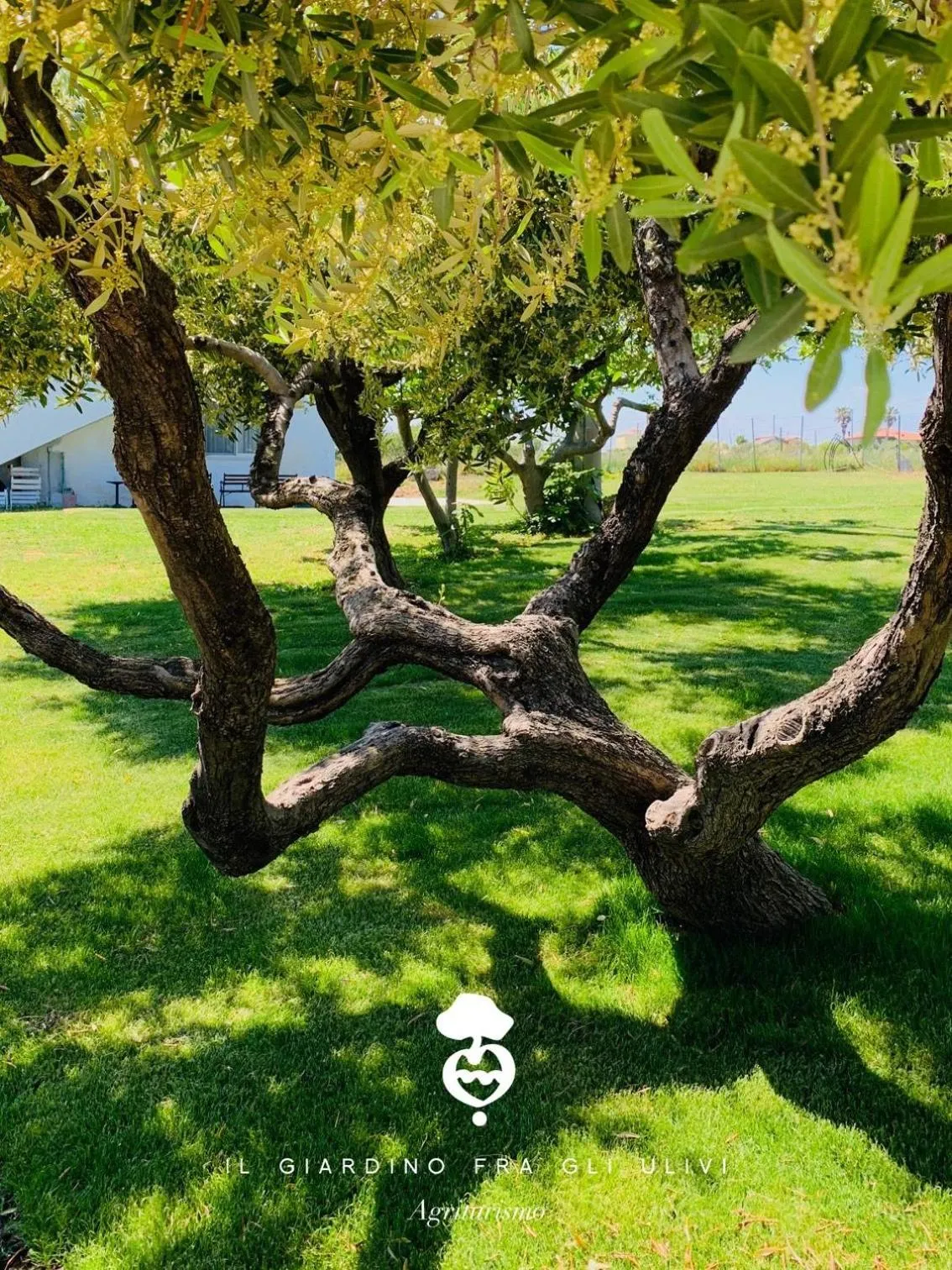 Garden in Relais Il Giardino fra gli Ulivi - Oasi Panoramica Vista Mare
