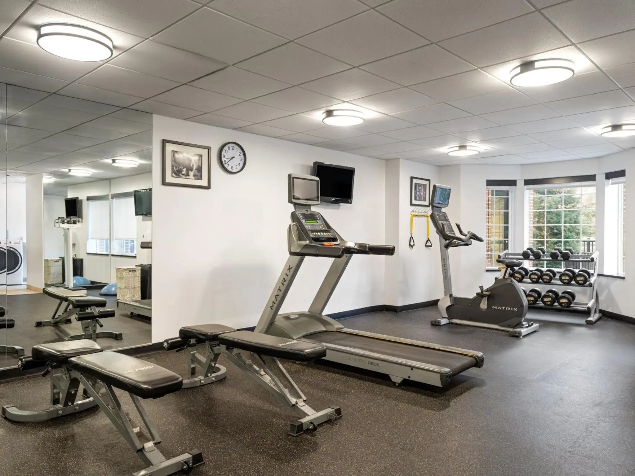 Fitness centre/facilities in Staybridge Suites Rochester University by IHG Fitness centre/facilities in Staybridge Suites Rochester University by IHG