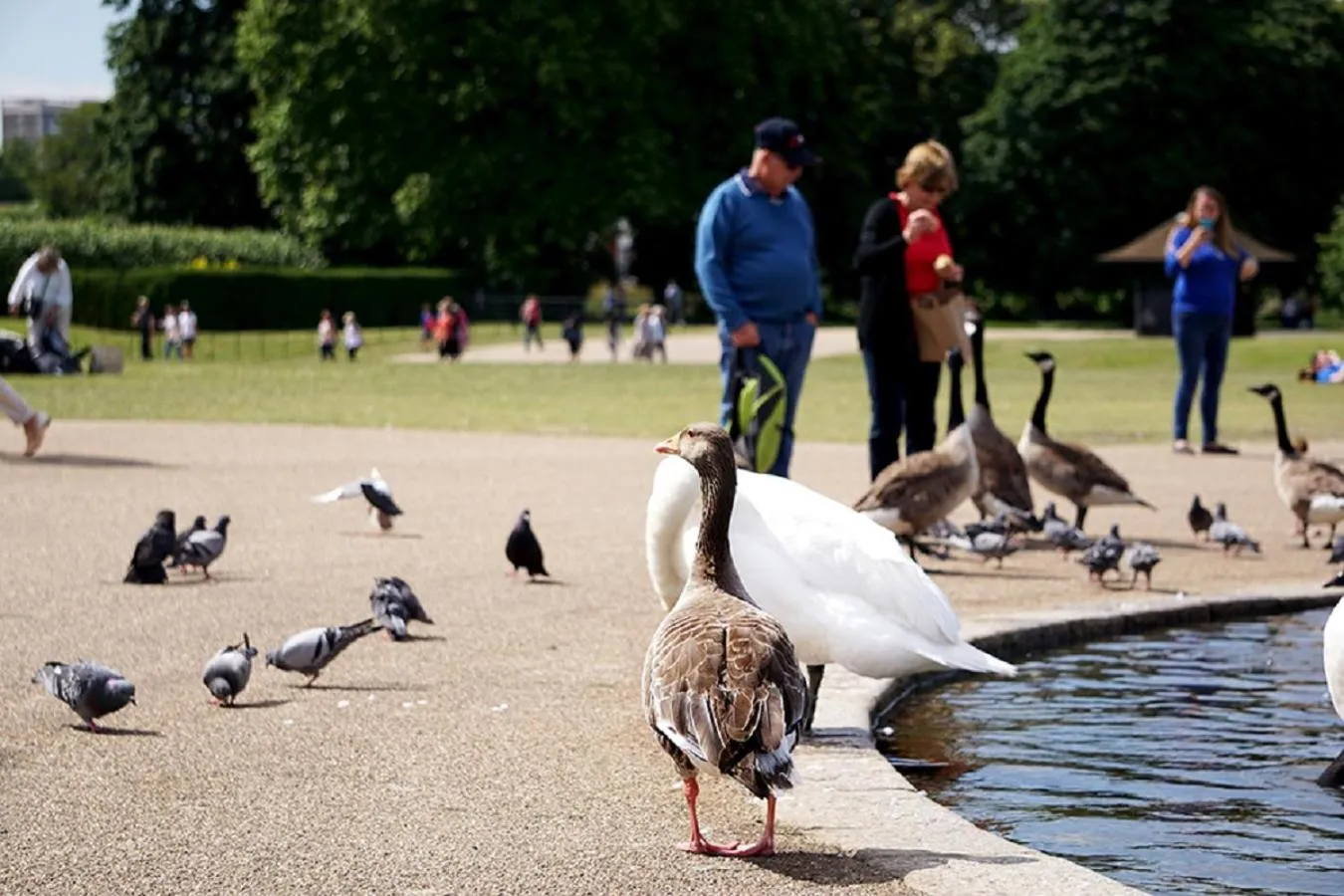 Nearby landmark in Astor Hyde Park Hostel