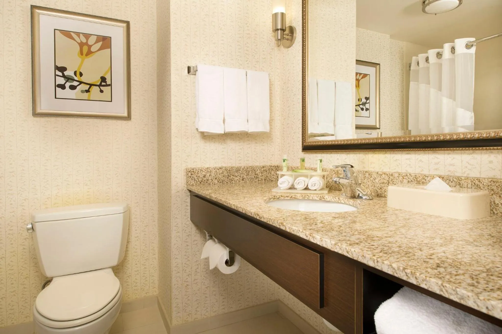 Bathroom in Holiday Inn Express & Suites Alexandria - Fort Belvoir by IHG